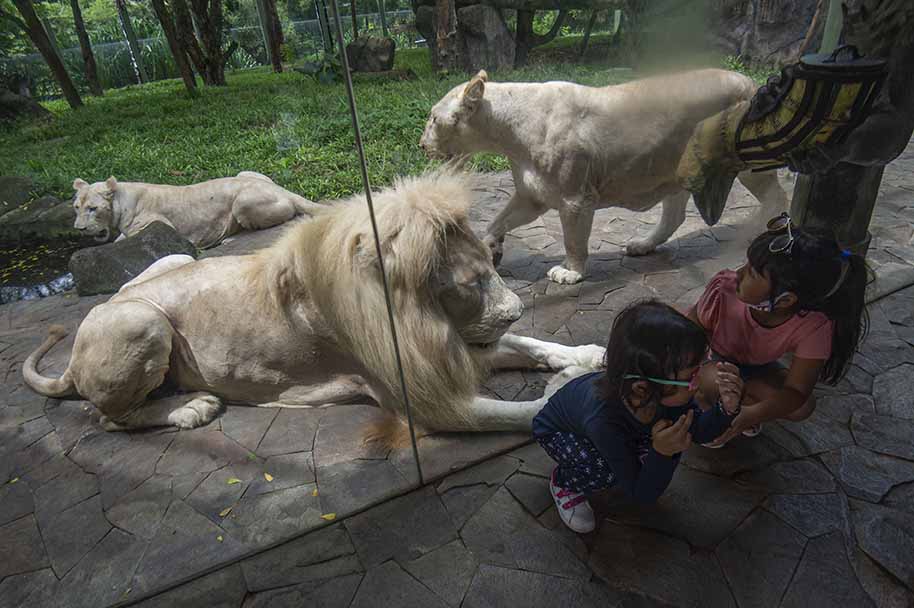 Liburan Dengan Protokol Kesehatan Ketat
