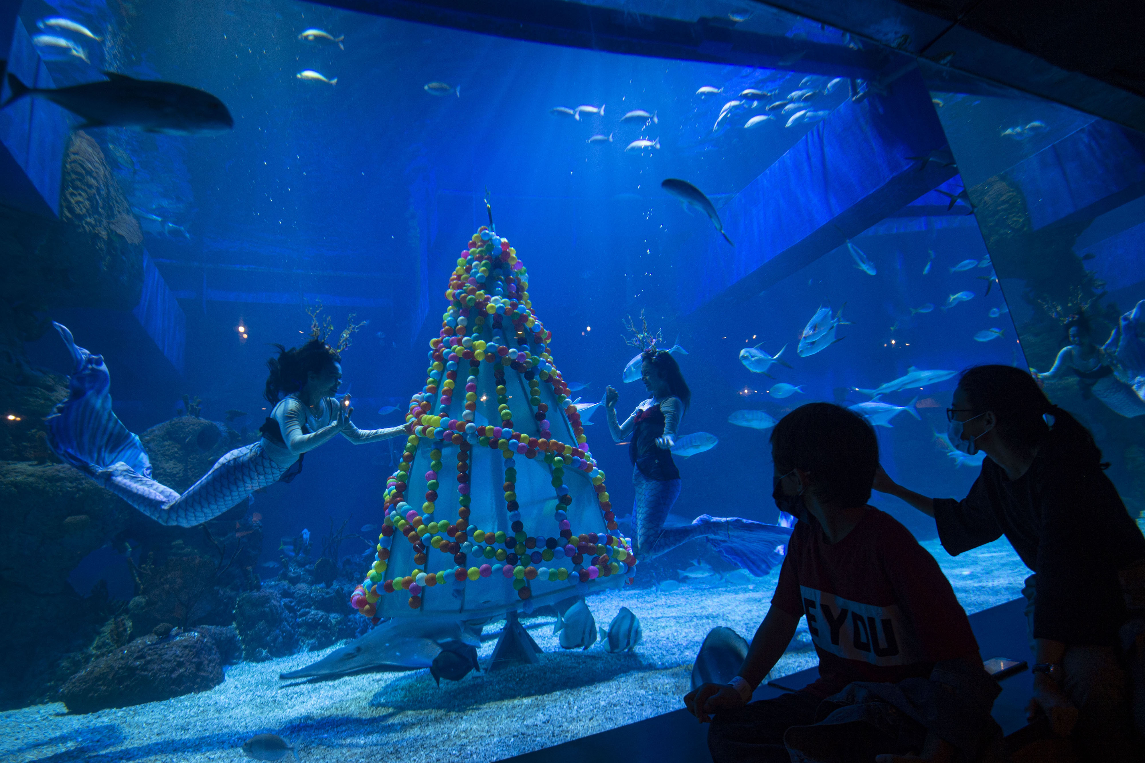 Pertunjukan Bawah Air Sambut Natal dan Tahun Baru