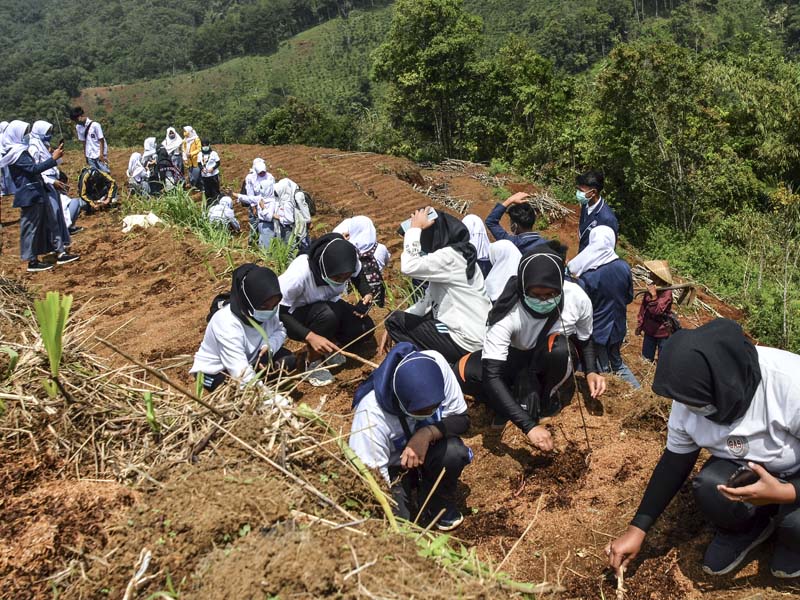 Gerakan Pelajar Menanam Jahe Merah