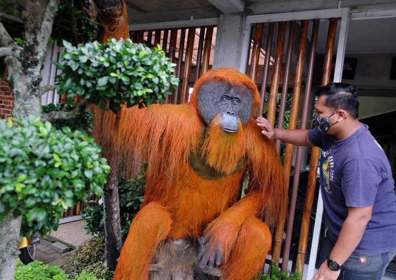 Patung Orangutan Sumatra Untuk Edukasi 