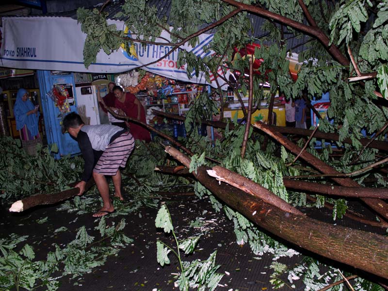 Pohon Tumbang Akibat Angin Kencang