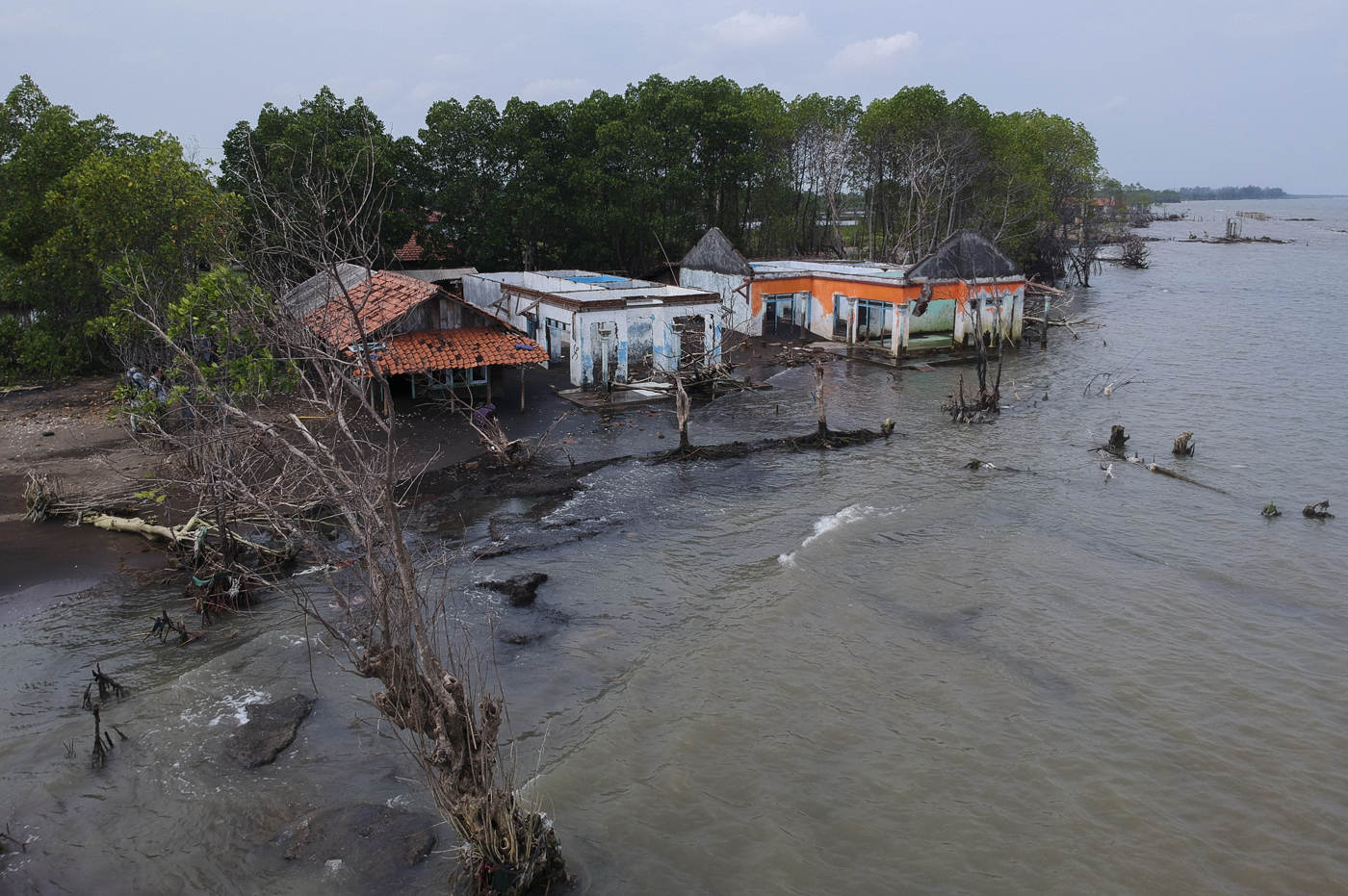 Dampak Abrasi di Kabupaten Pekalongan Jawa Tengah  