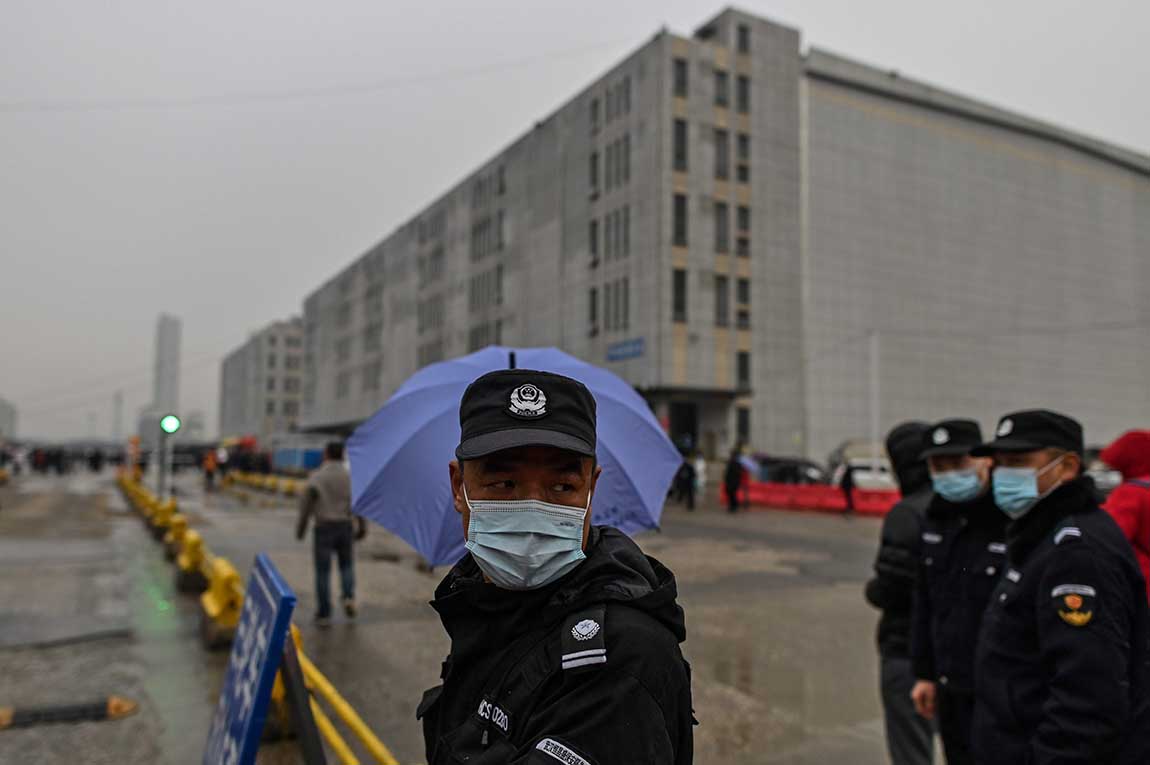 Penyelidikan Asal-Usul Virus Corona