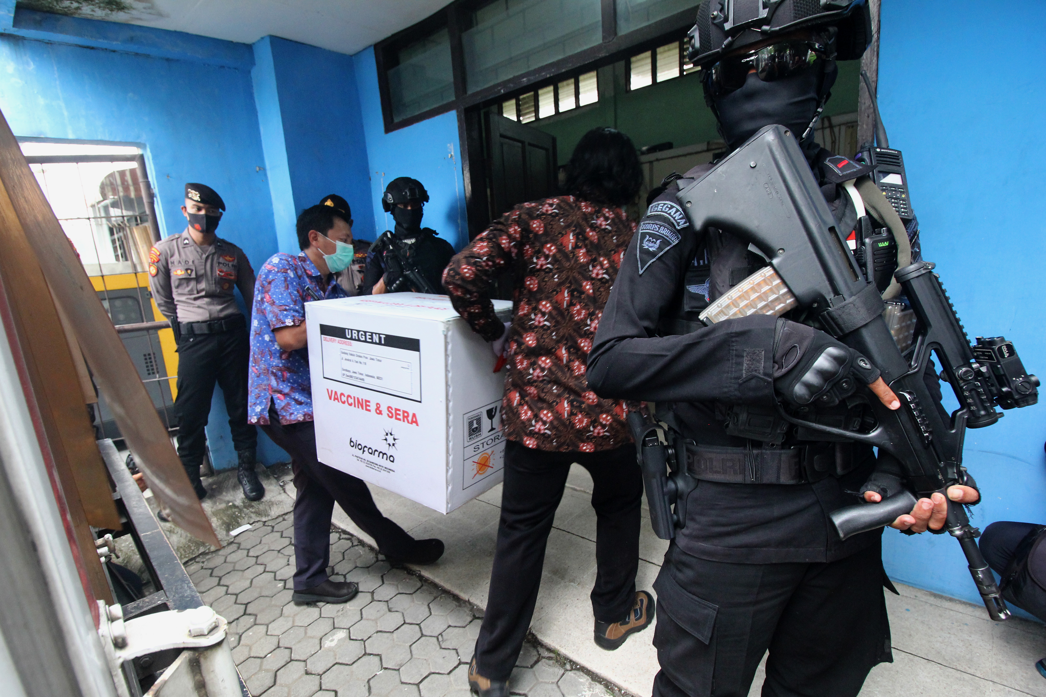 Vaksin Sinovac Tiba di Surabaya