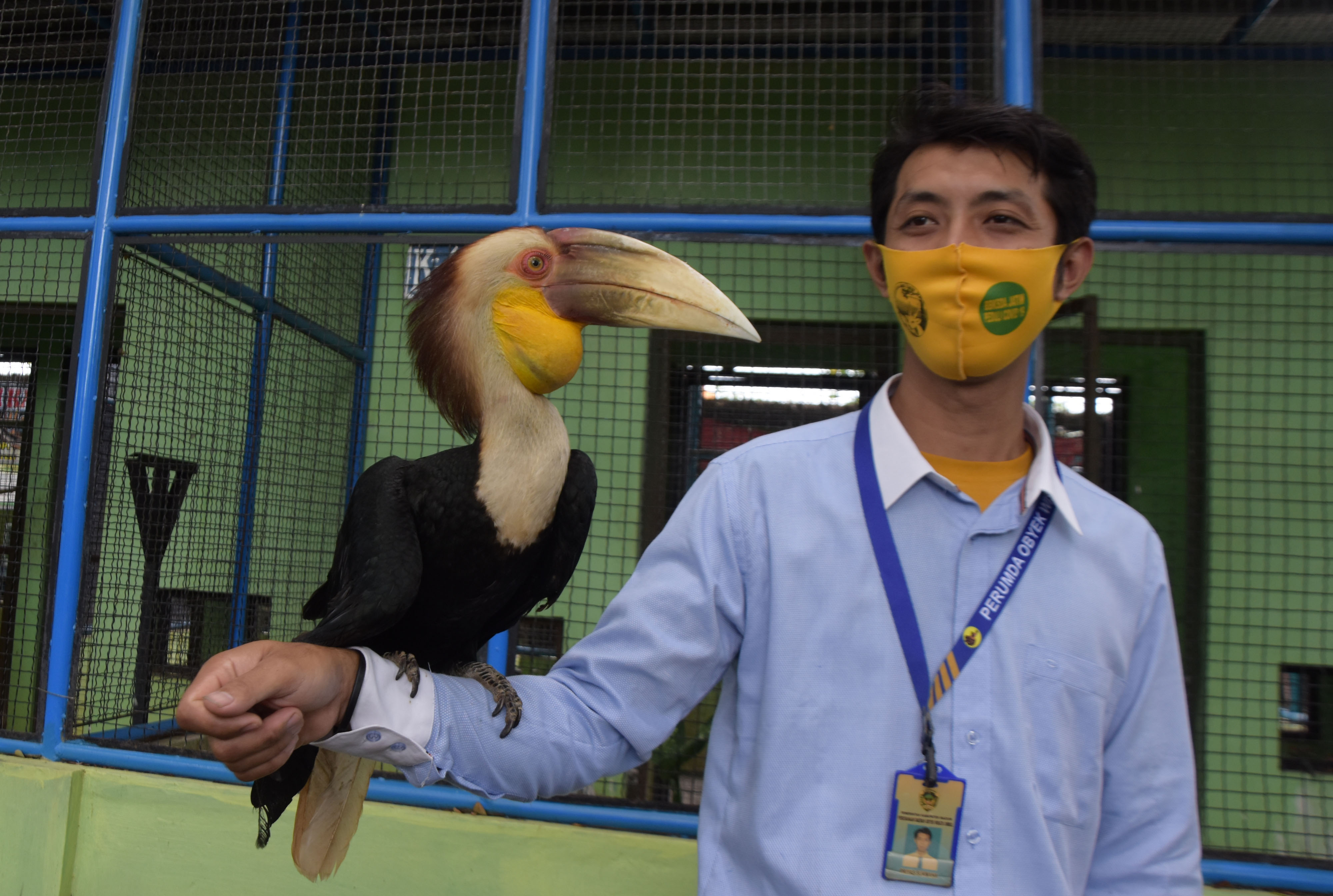 Kebun Binatang Umbul Terdampak PPKM