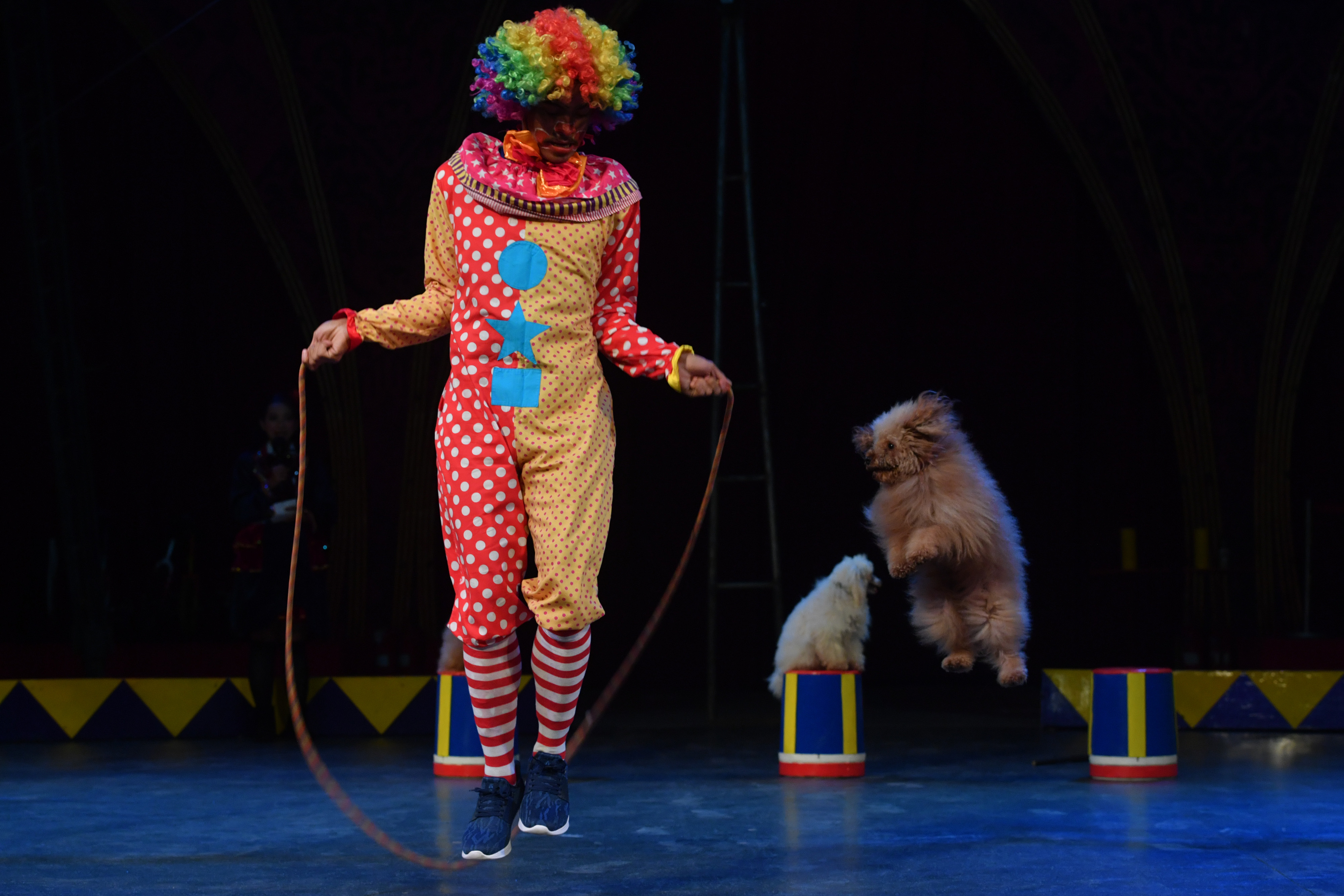 Museum Sirkus di Jawa Timur