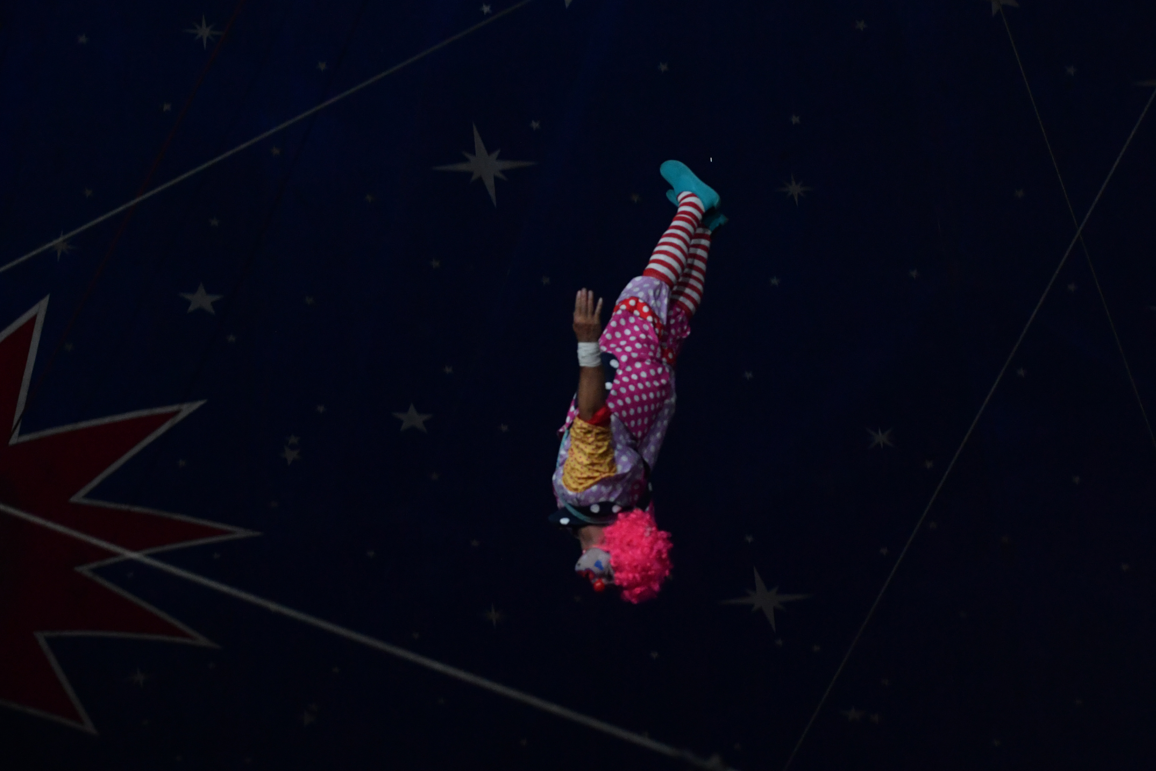 Museum Sirkus di Jawa Timur