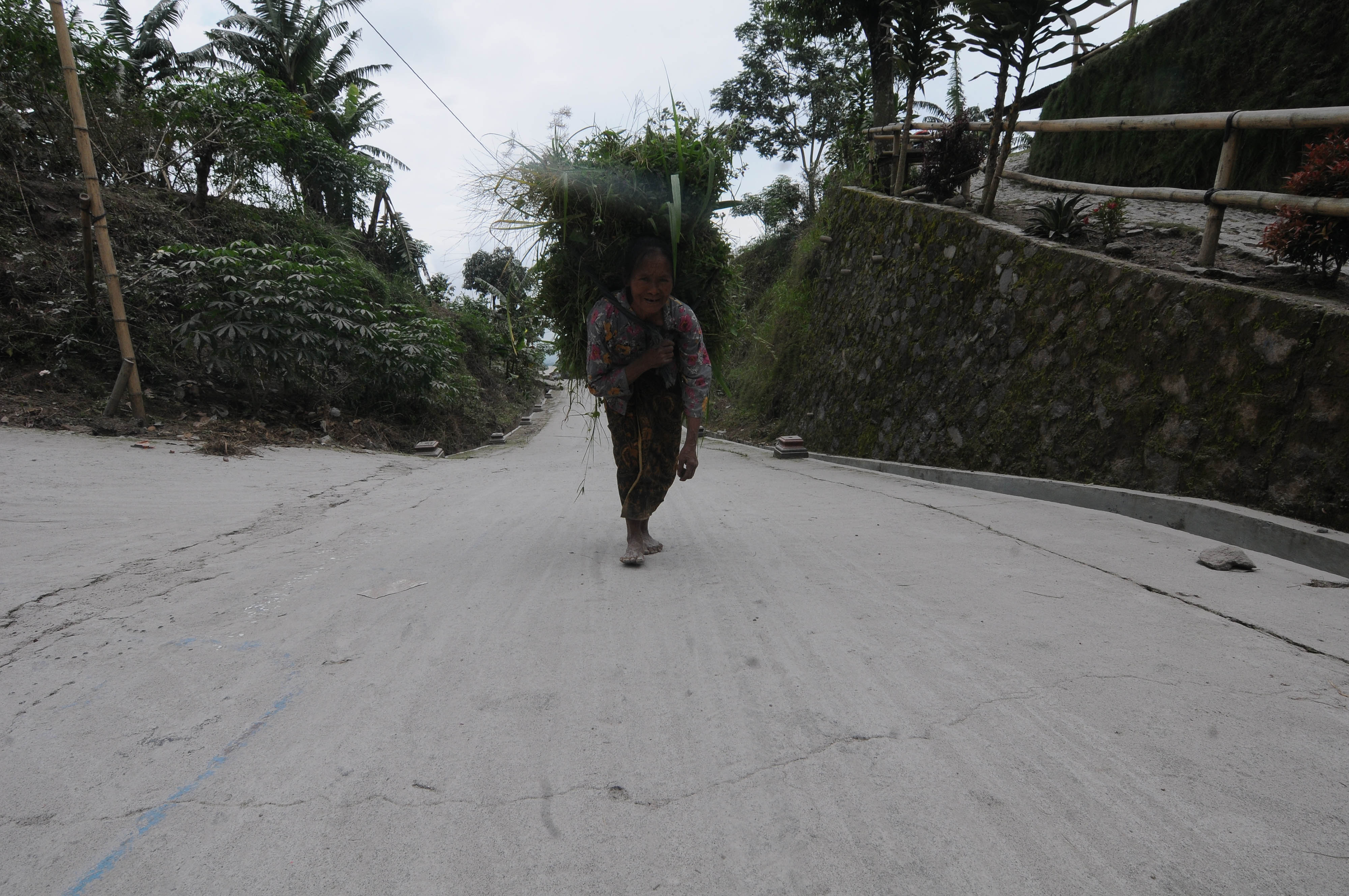 Abu Vulkanik Gunung Merapi