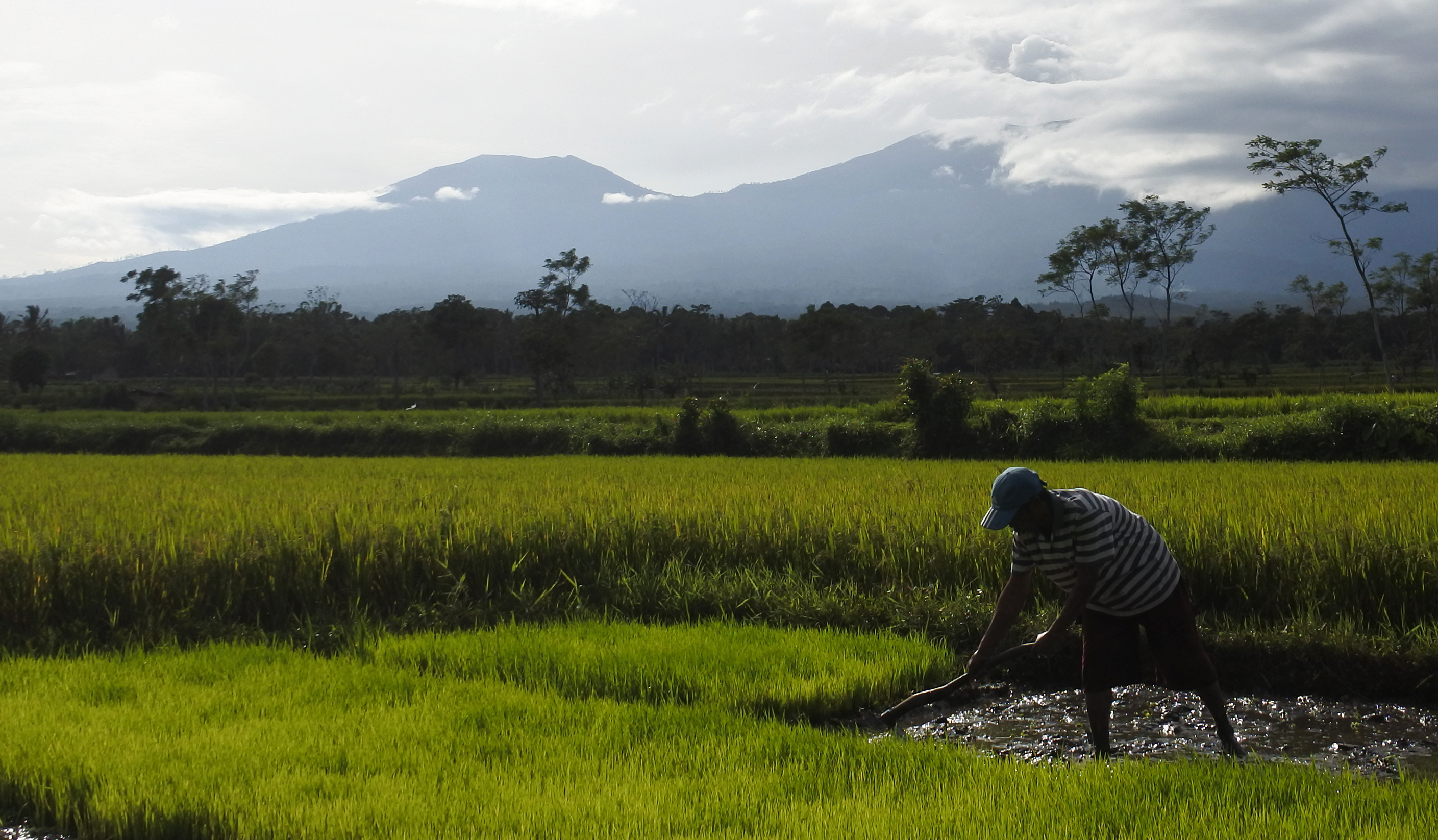 Aktifitas Gunung Raung