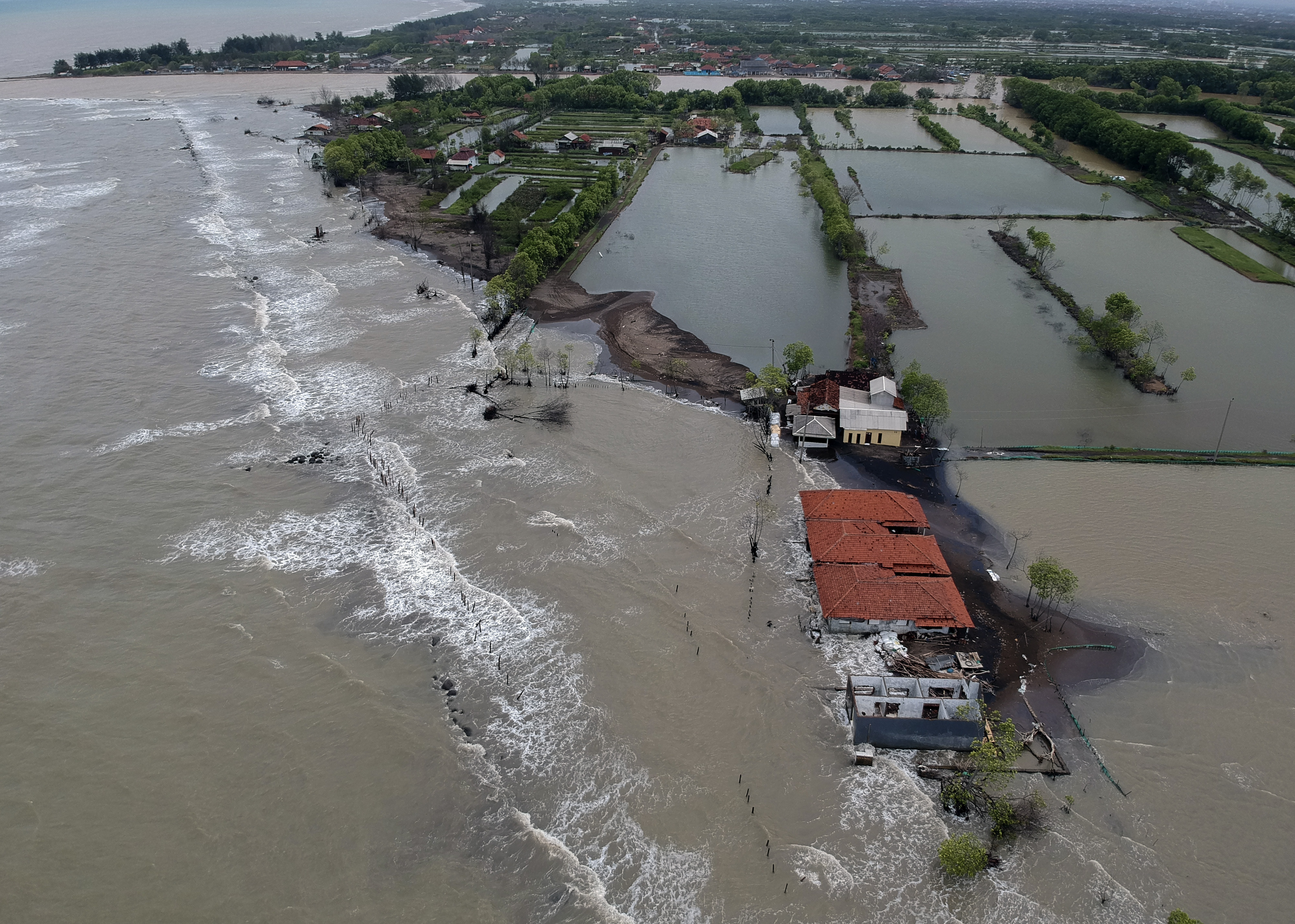 Gelombang Air Laut Pekalongan Tinggi