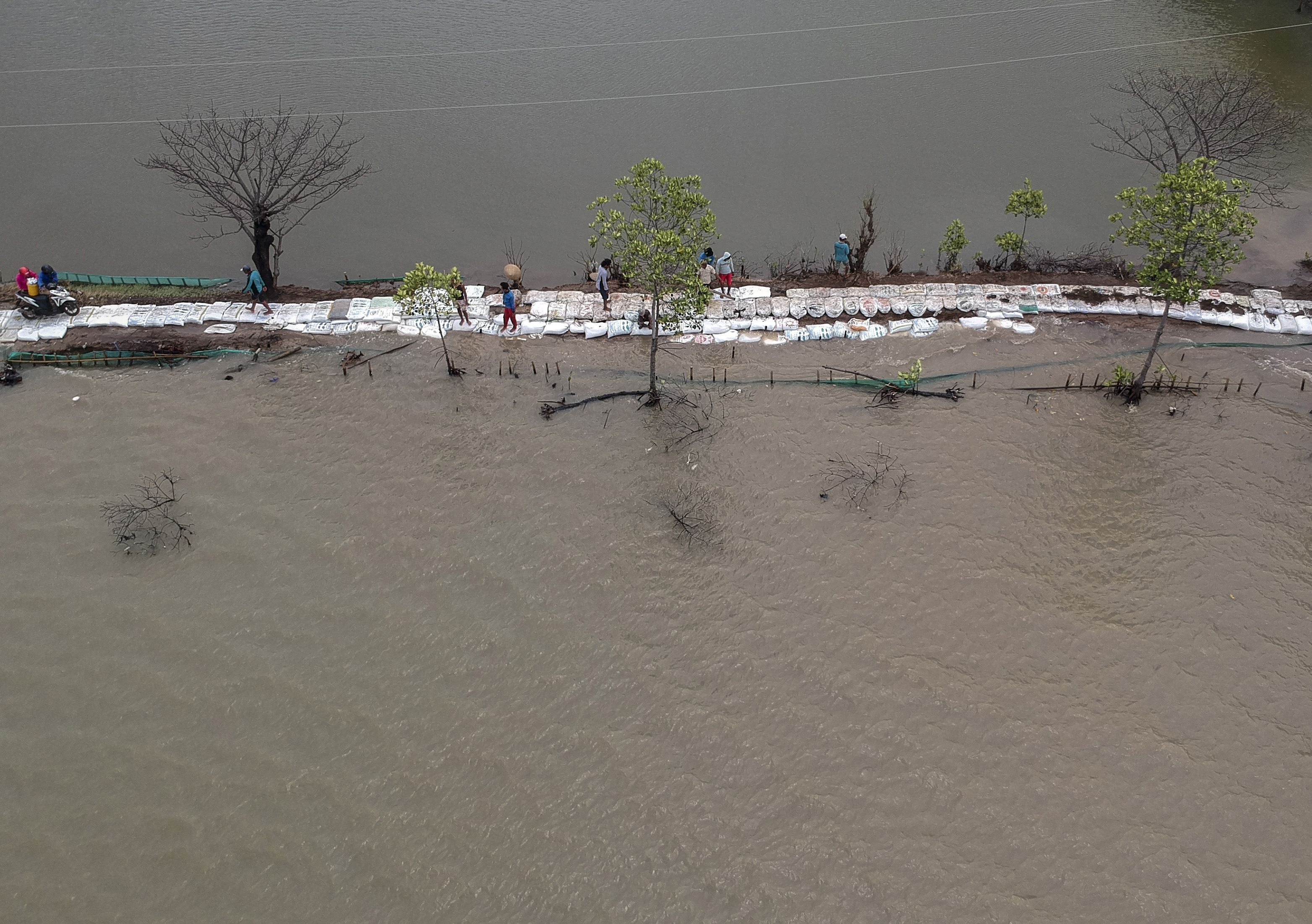 Tanggul Laut Swadaya Warga Antisipasi Rob