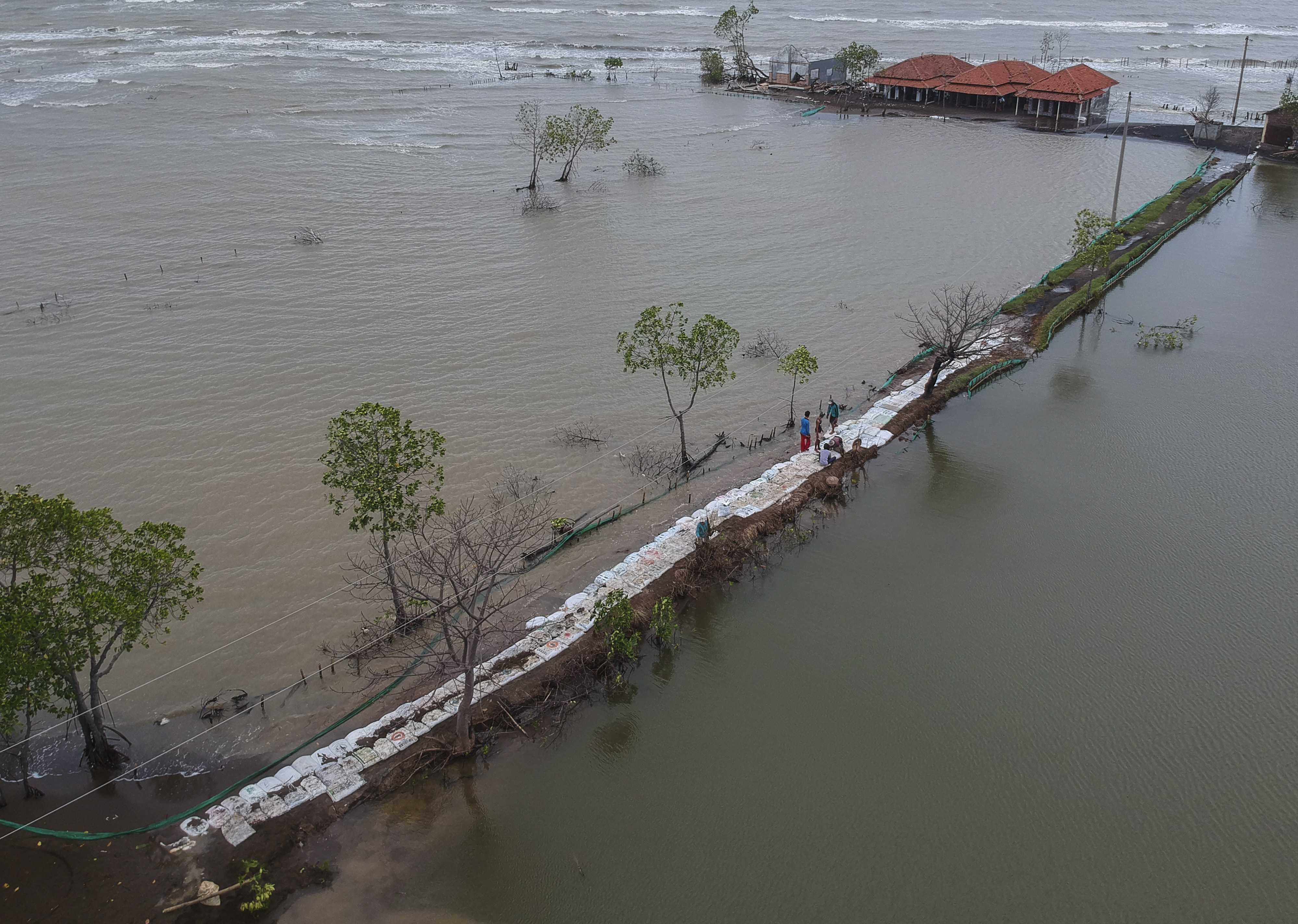 Tanggul Laut Swadaya Warga Antisipasi Rob