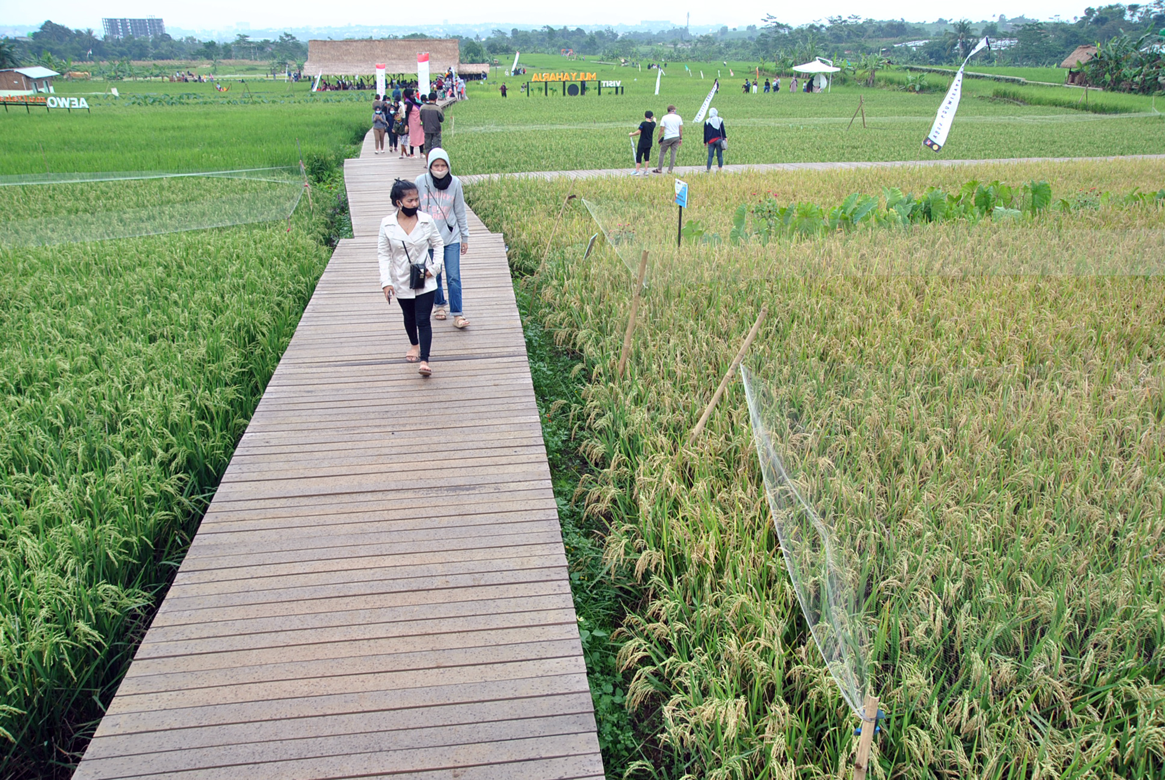 Wisata Kampung Tematik Mulyaharja Bogor