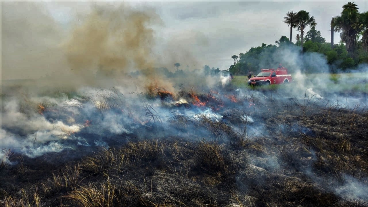 Kebakaran Hutan Taman Nasional Kabupaten Bombana