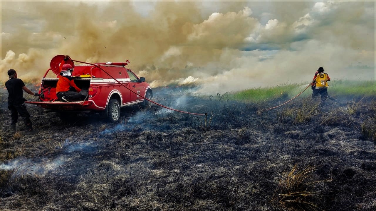 Kebakaran Hutan Taman Nasional Kabupaten Bombana