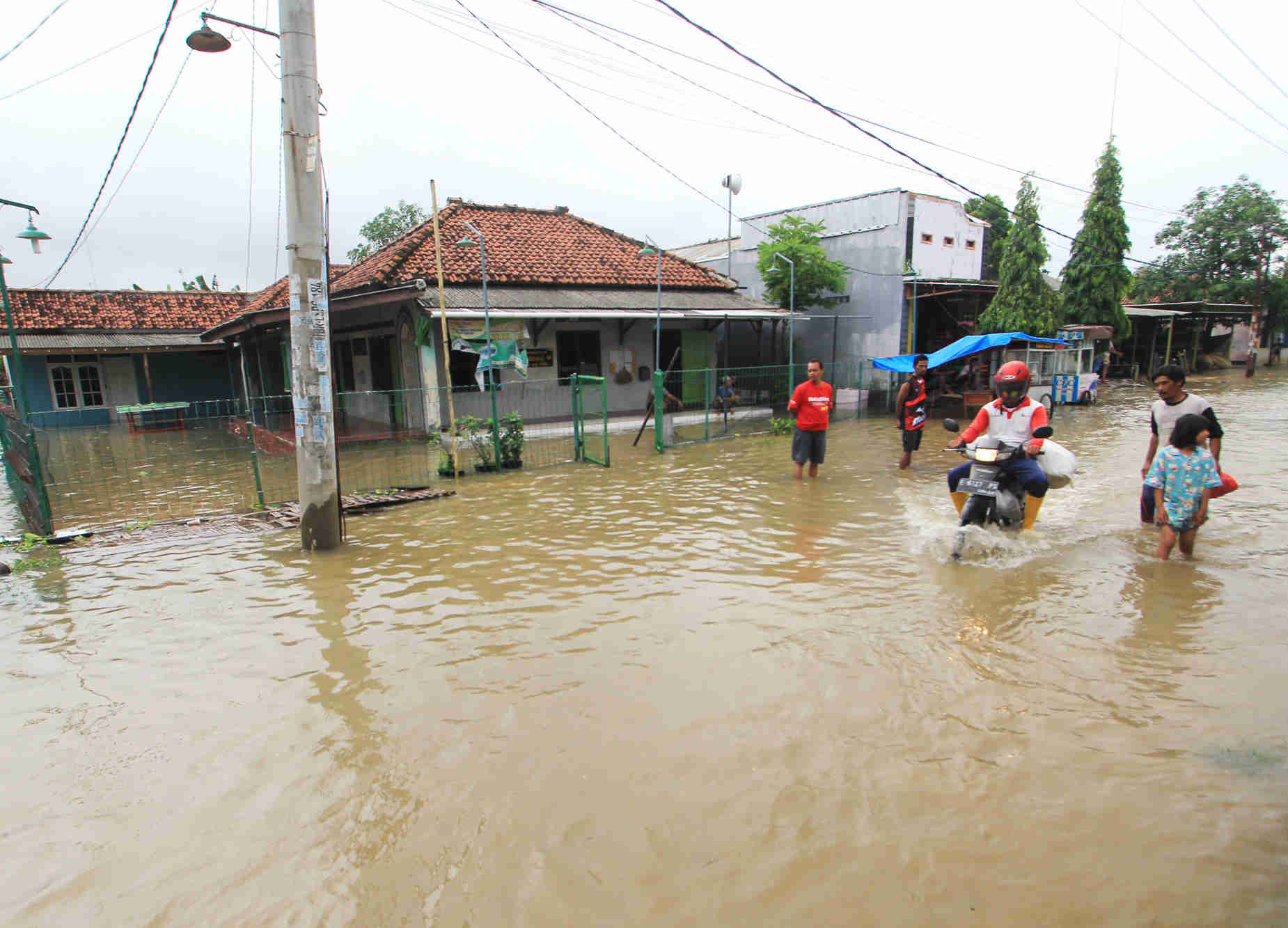 Banjir Luapan Sungai Indramayu Rendam Ratusan Rumah 