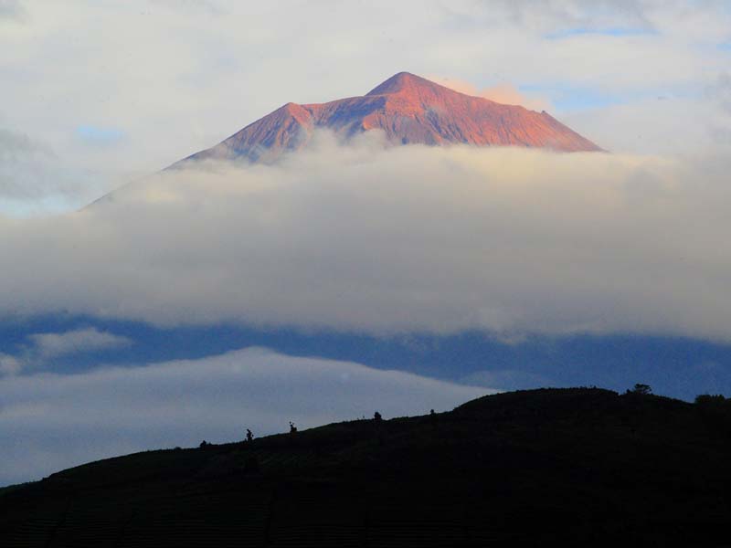 Matahari Awal Tahun 2021