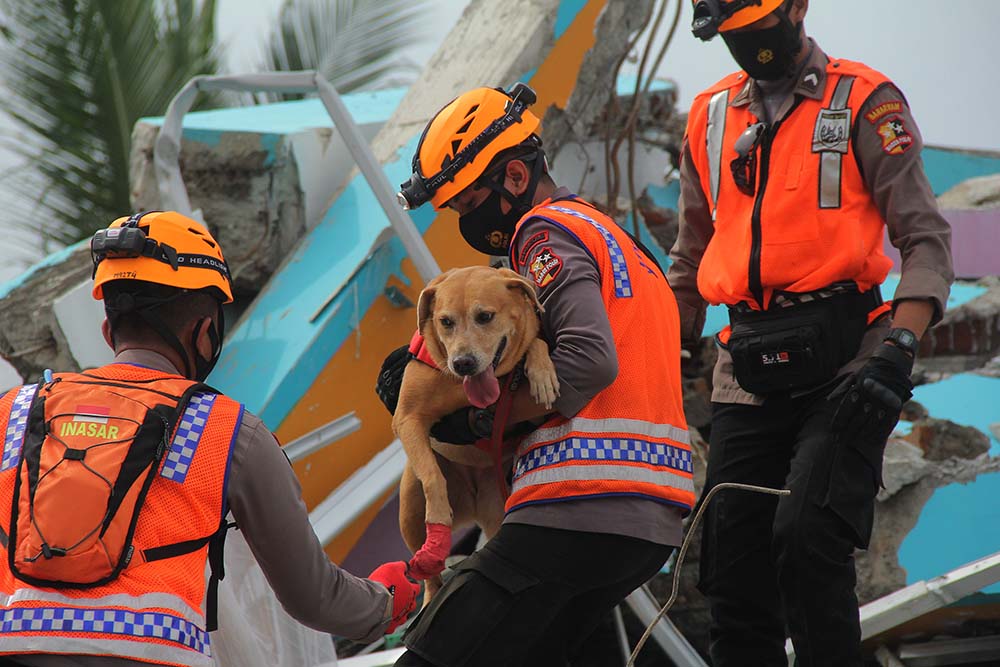K-9 Bantu Pencarian Korban Bencana 