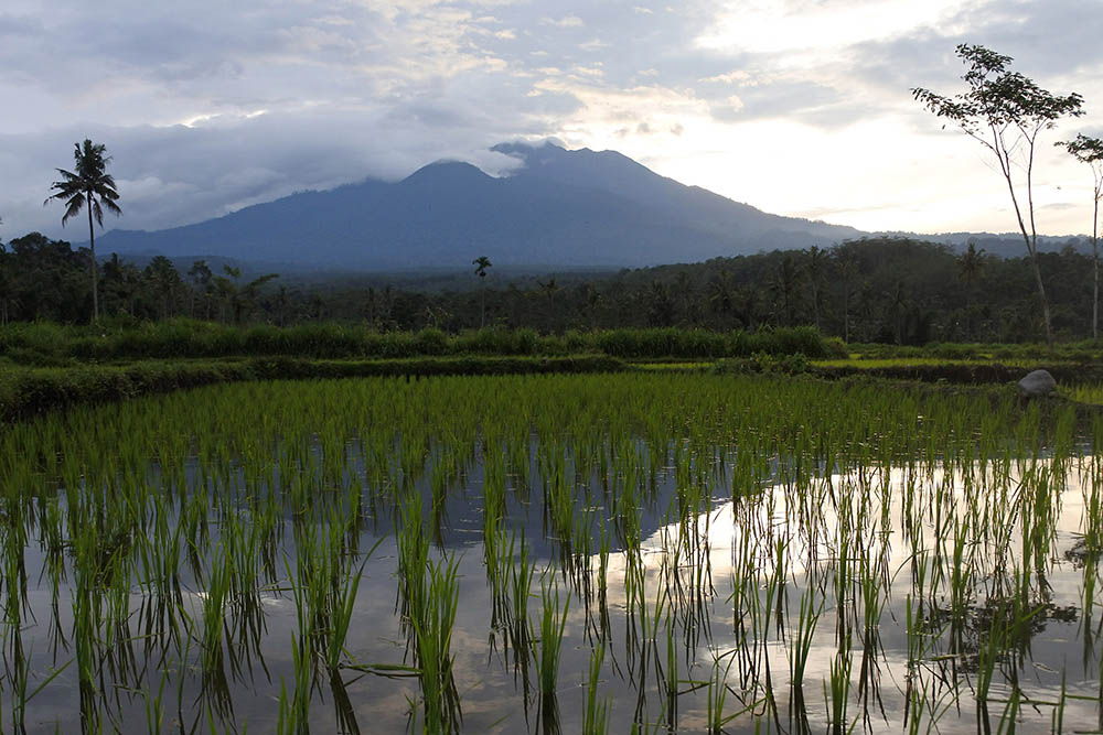 Aktivitas Gunung Raung Waspada