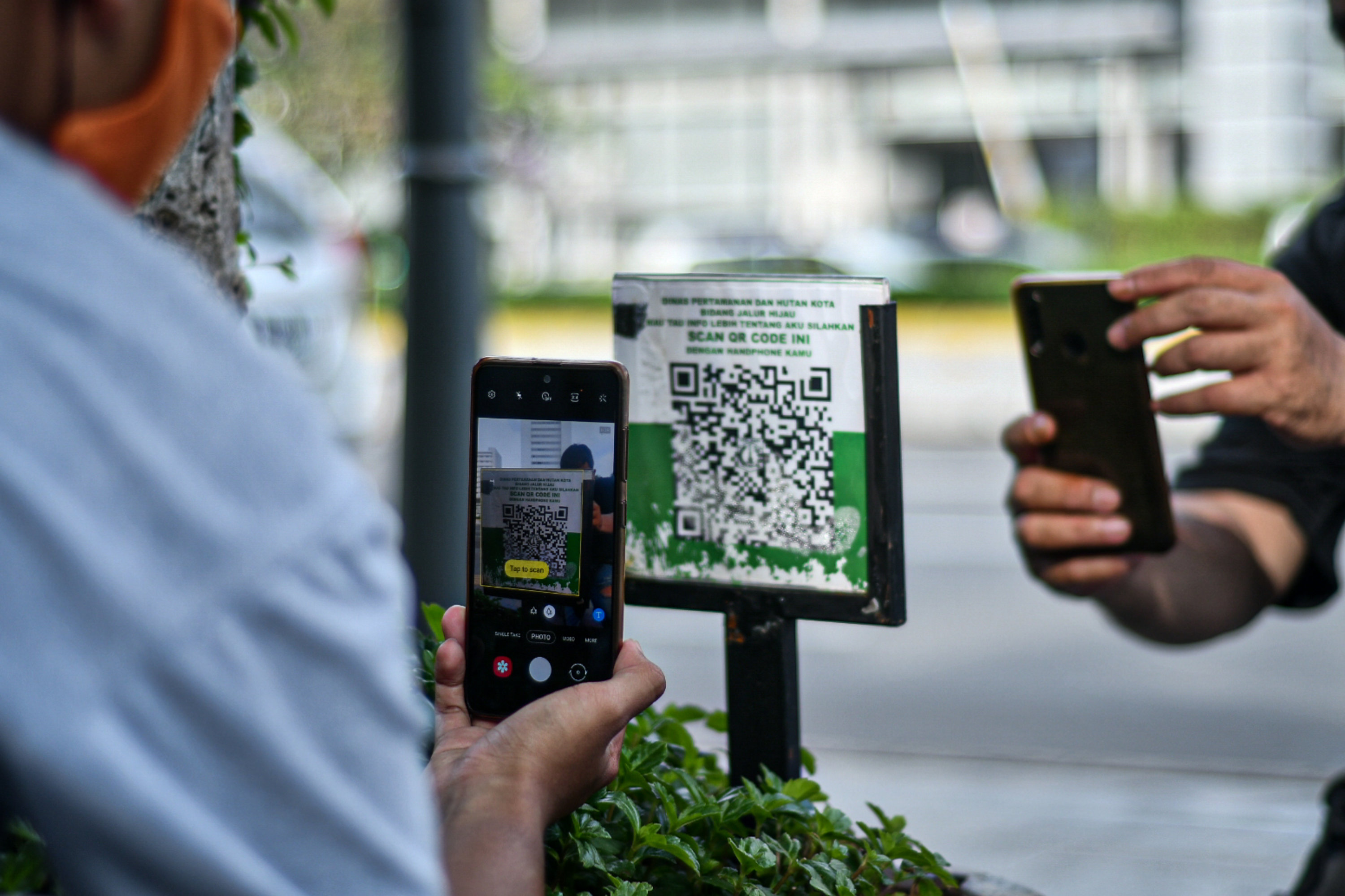Barcode Tanaman di Jalan Protokol
