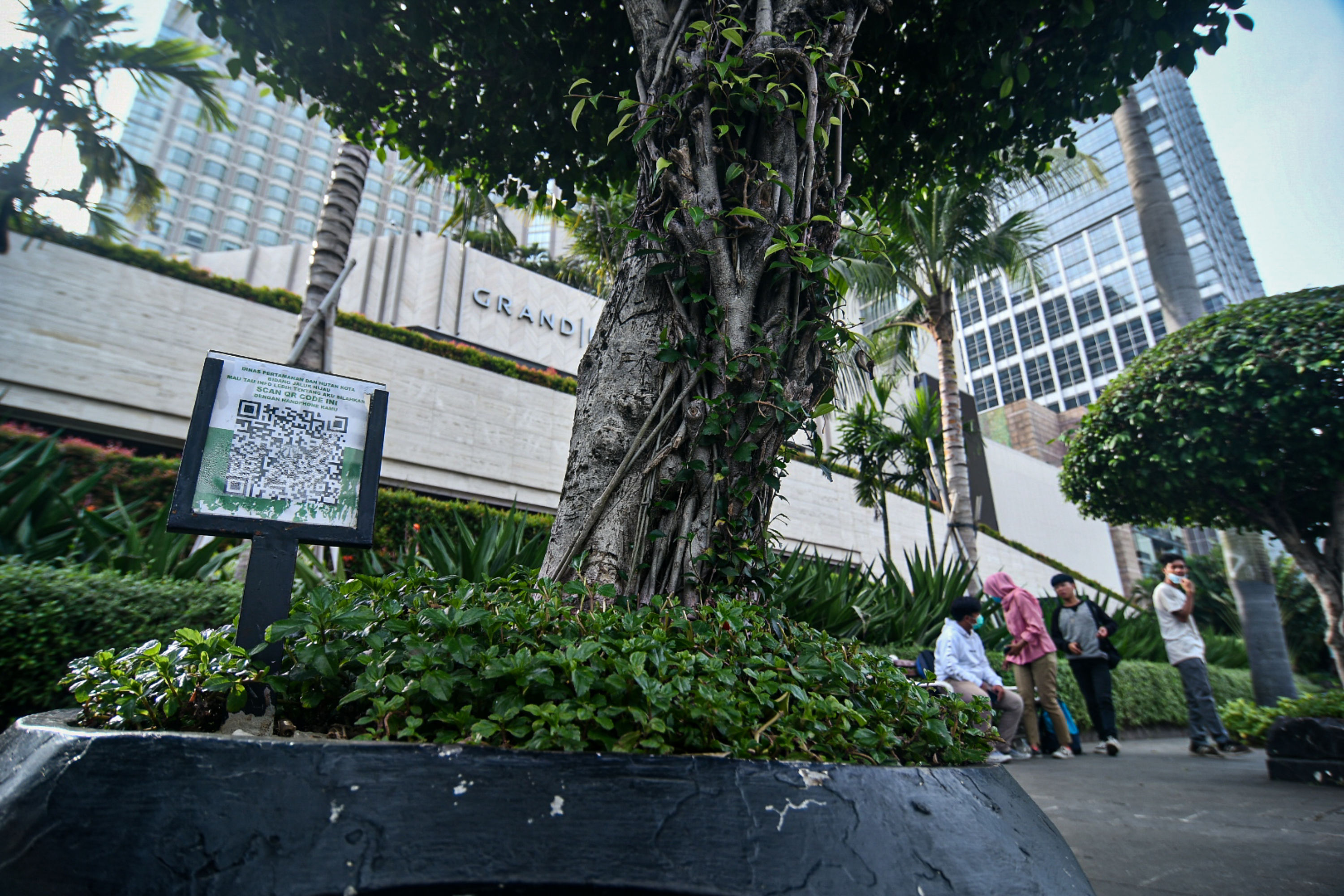 Barcode Tanaman di Jalan Protokol