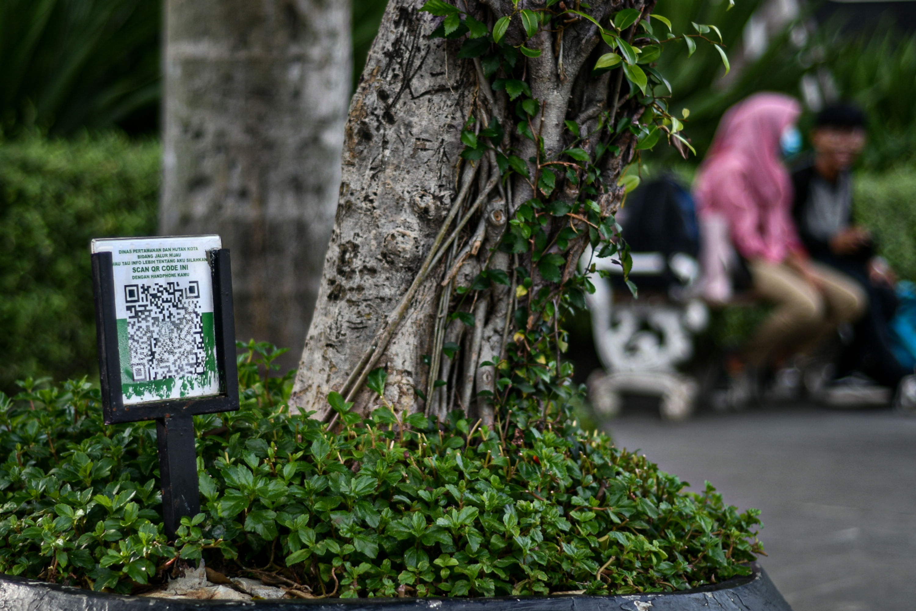 Barcode Tanaman di Jalan Protokol