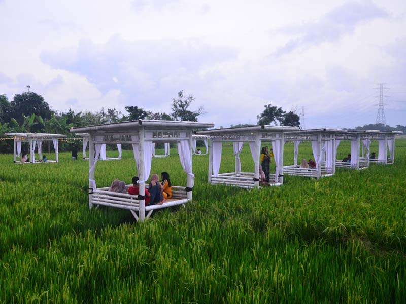 Restoran Berkonsep Alam Terbuka