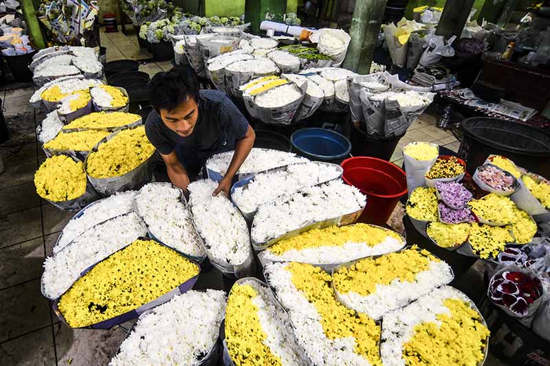 Penjulan Bunga di Rawa Belong Menurun