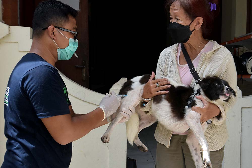 Pelayanan Kesehatan Hewan Peliharaan 