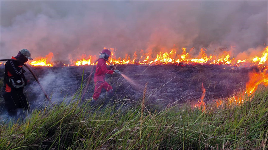 Kebakaran Taman Nasional Rawa Aopa Watumohai Sulteng  