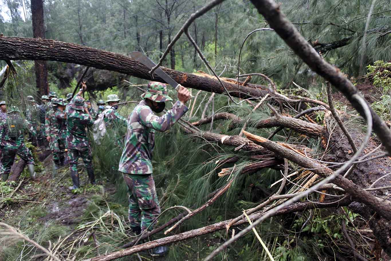 Longsor Tutup Akses Menuju ke Kawah Ijen 