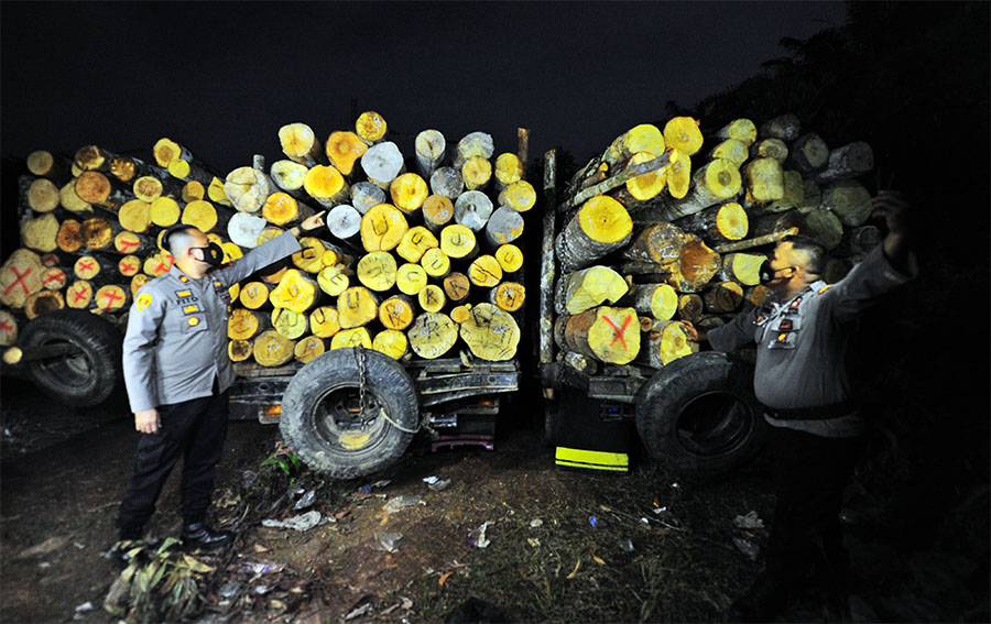 Lima Truk Membawa Kayu Ilegal Diamankan Polsek Kota Baru Jambi 
