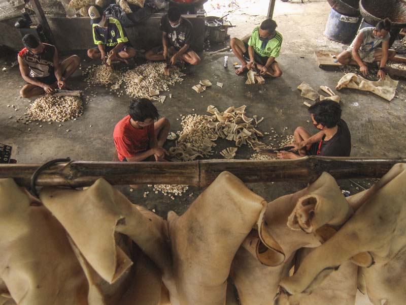 Produksi Kerupuk Kulit