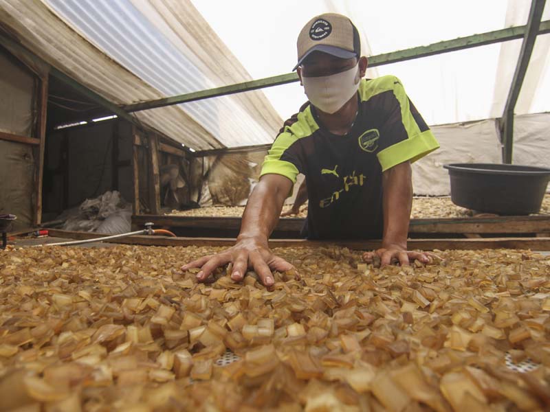 Produksi Kerupuk Kulit