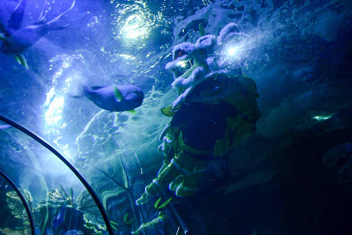  Atraksi Barongsai Dalam Air