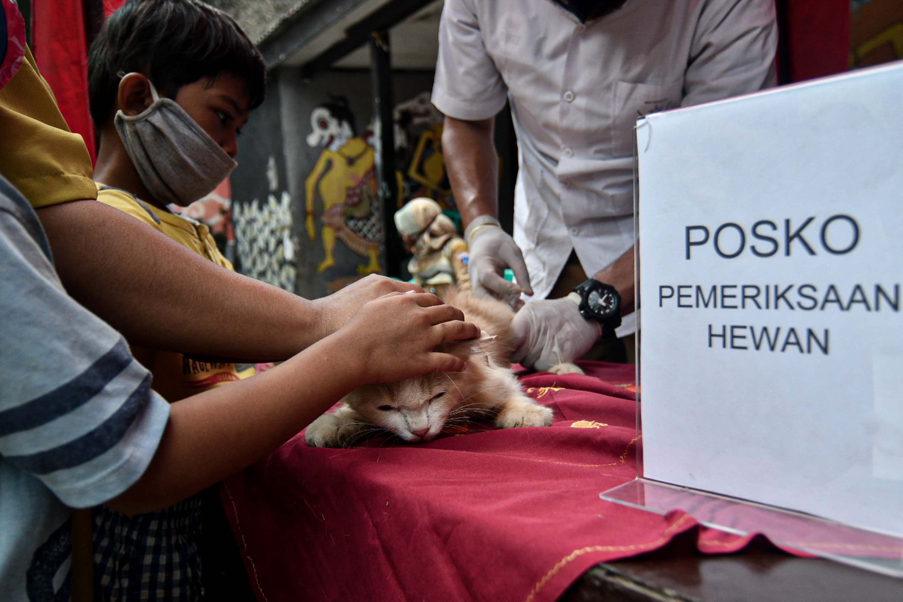 Pemeriksaan Hewan Peliharaan Gratis