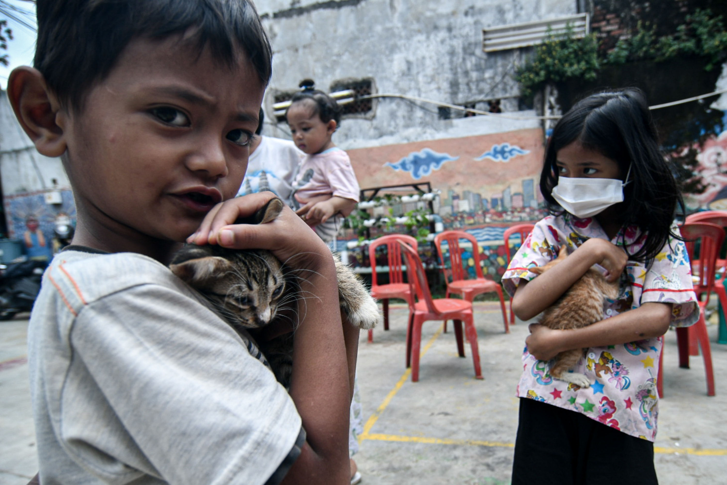 Pemeriksaan Hewan Peliharaan Gratis