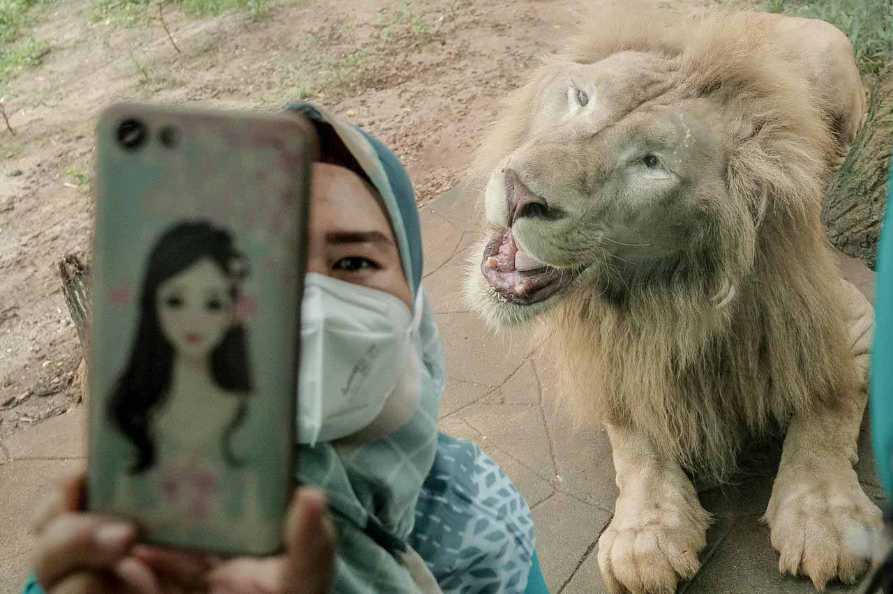 Sandiaga Uno Ajak Para Tenaga Kesehatan Piknik Di Ancol