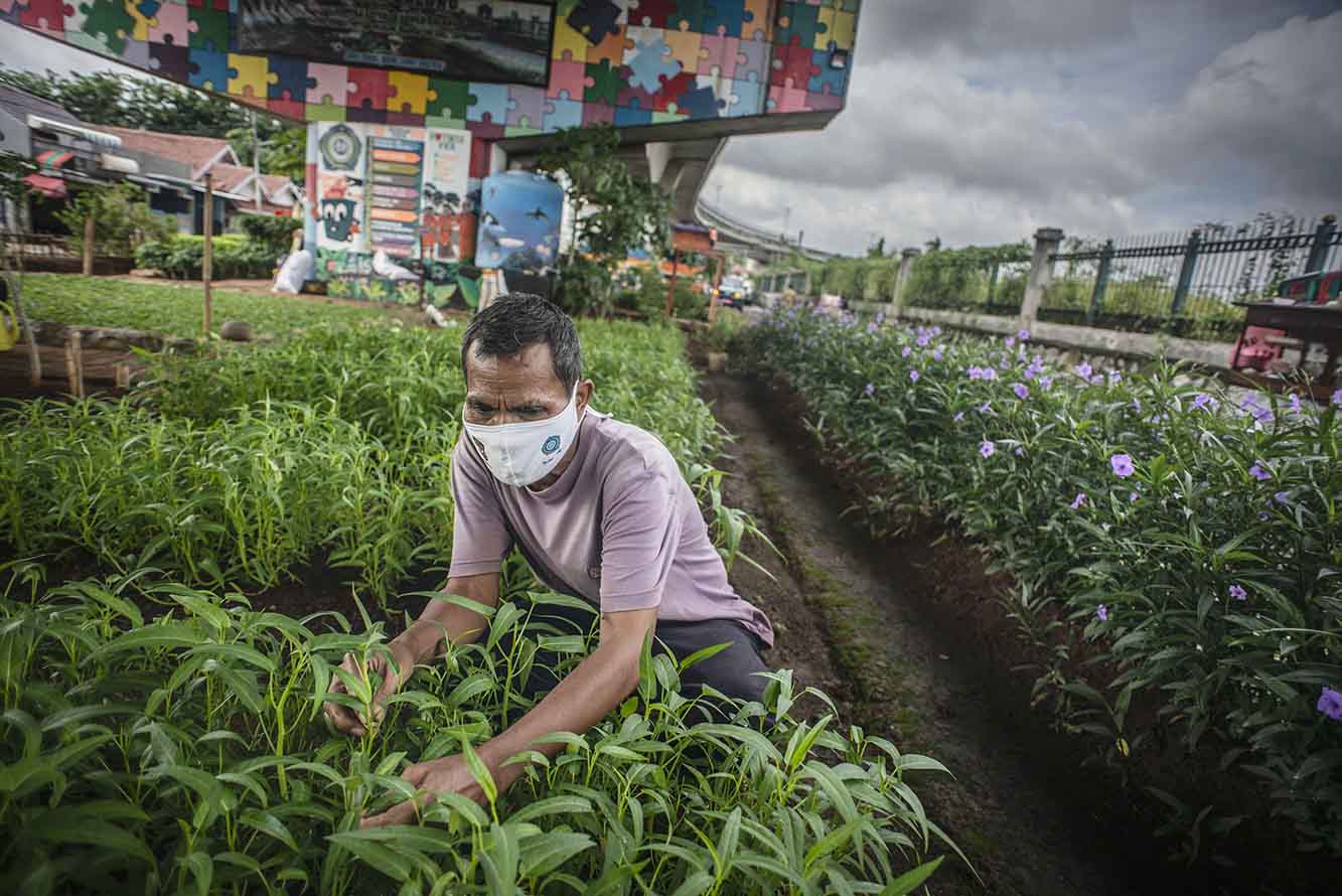 Sentra Sayuran di Kolong Jembatan Layang Cipinang 