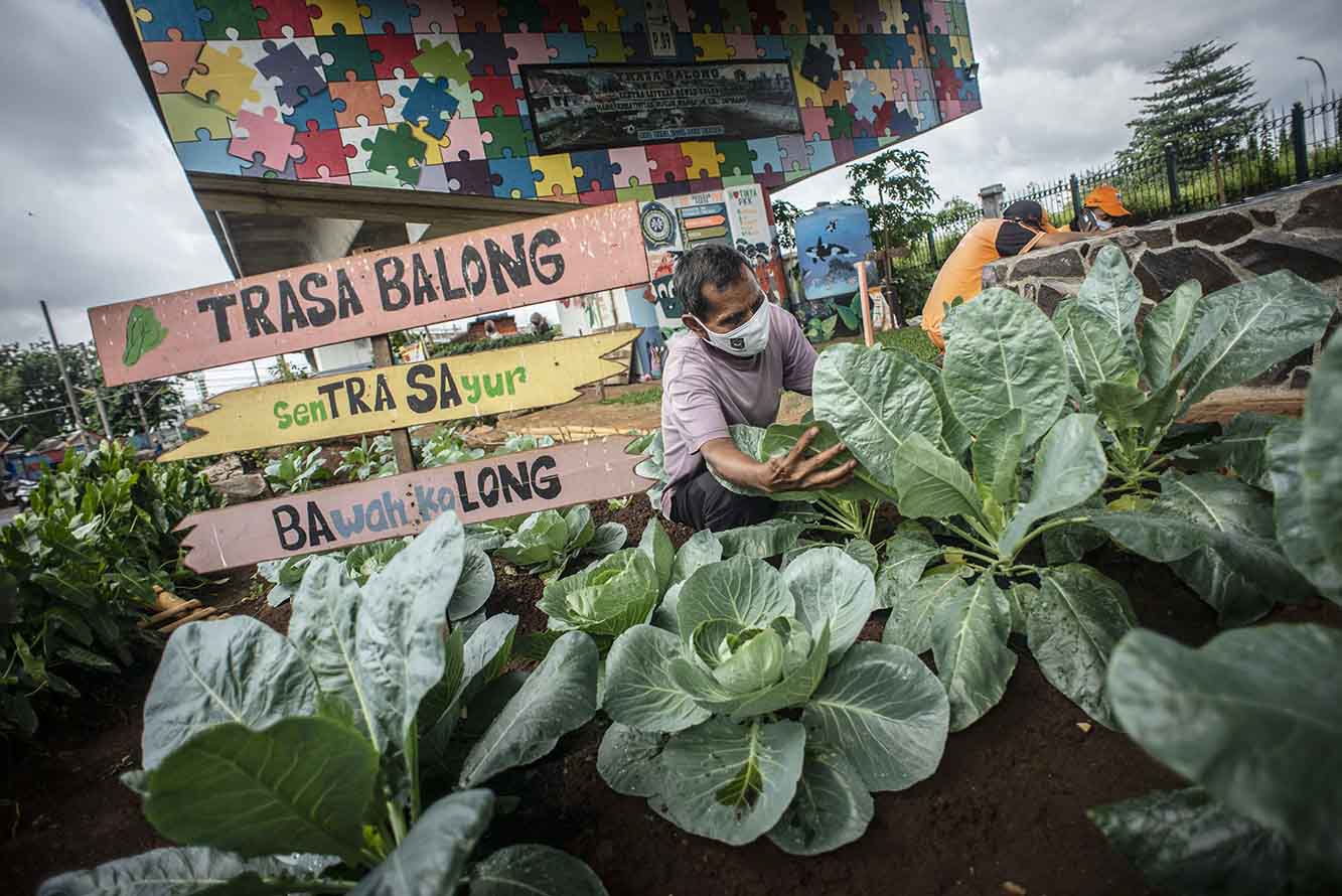 Sentra Sayuran di Kolong Jembatan Layang Cipinang 