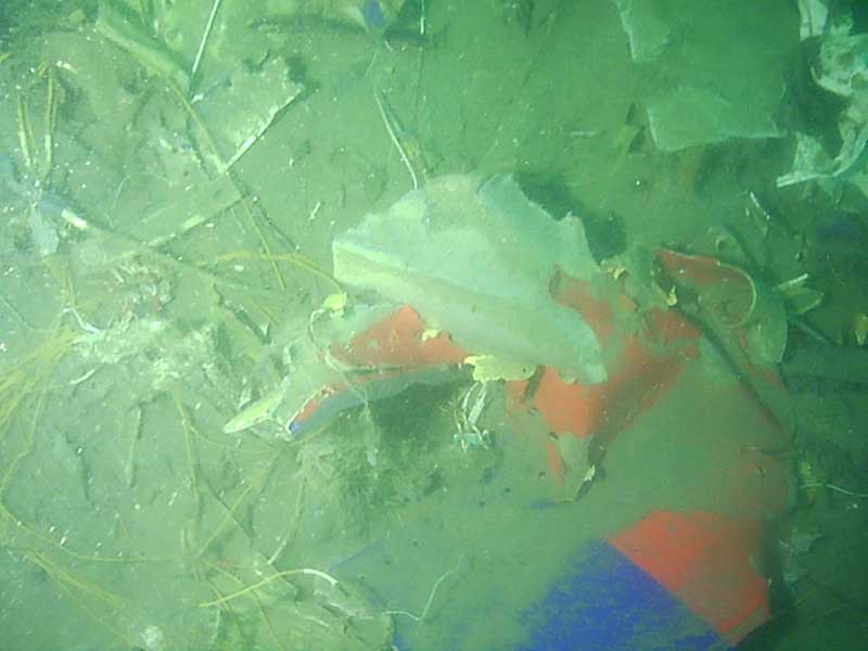 Jangan Lagi Ada Kecelakaan 