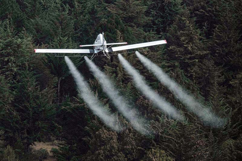 Serangan Hama Belalang Situasi Terburuk dalam 25 Tahun di Afrika 