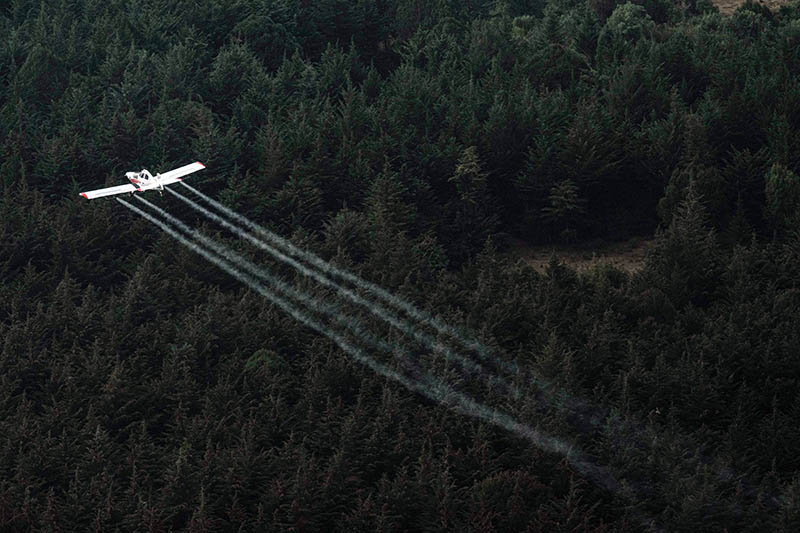 Serangan Hama Belalang Situasi Terburuk dalam 25 Tahun di Afrika 