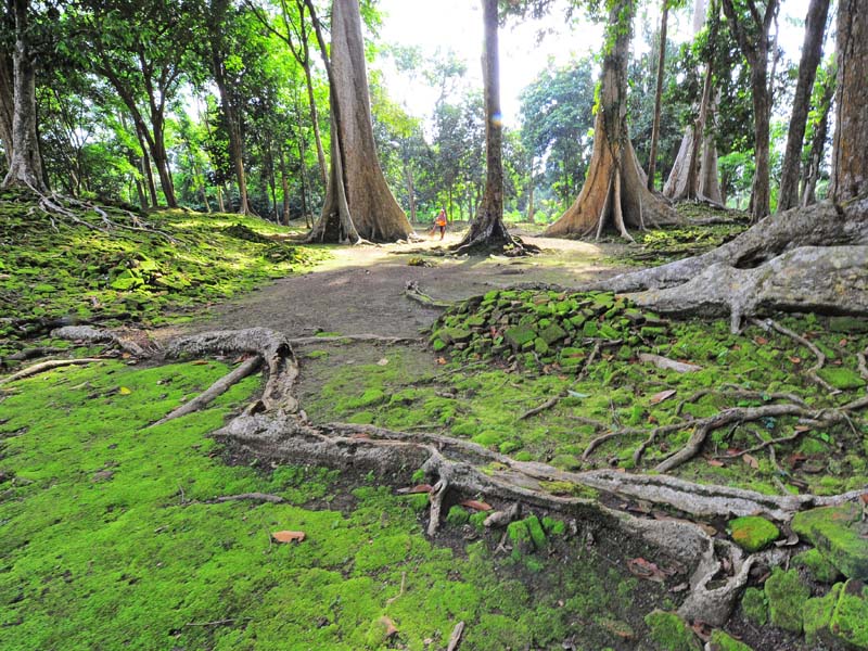 Perawatan Situs Candi Koto Mahligai