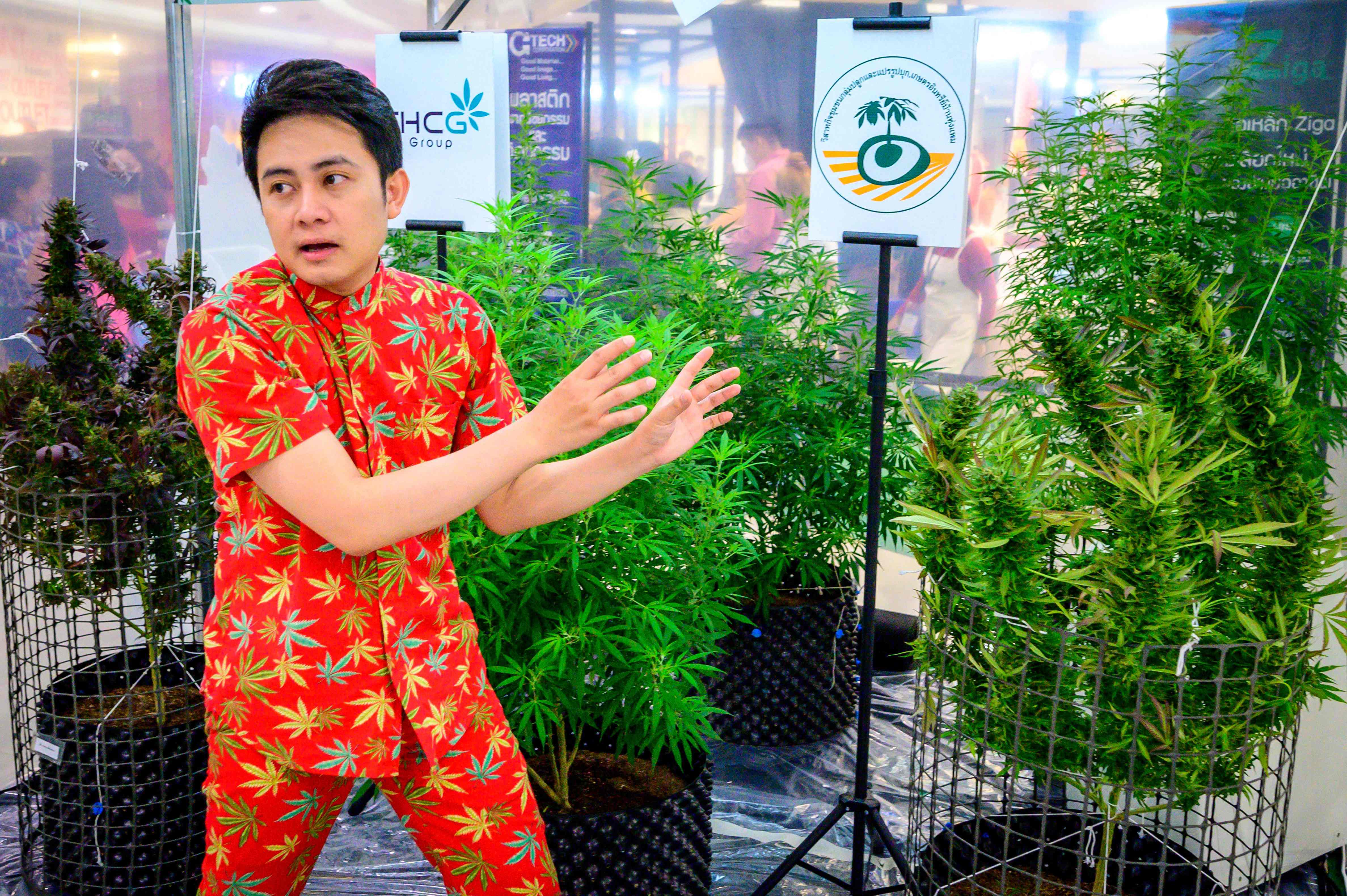Pameran Ganja di Bangkok