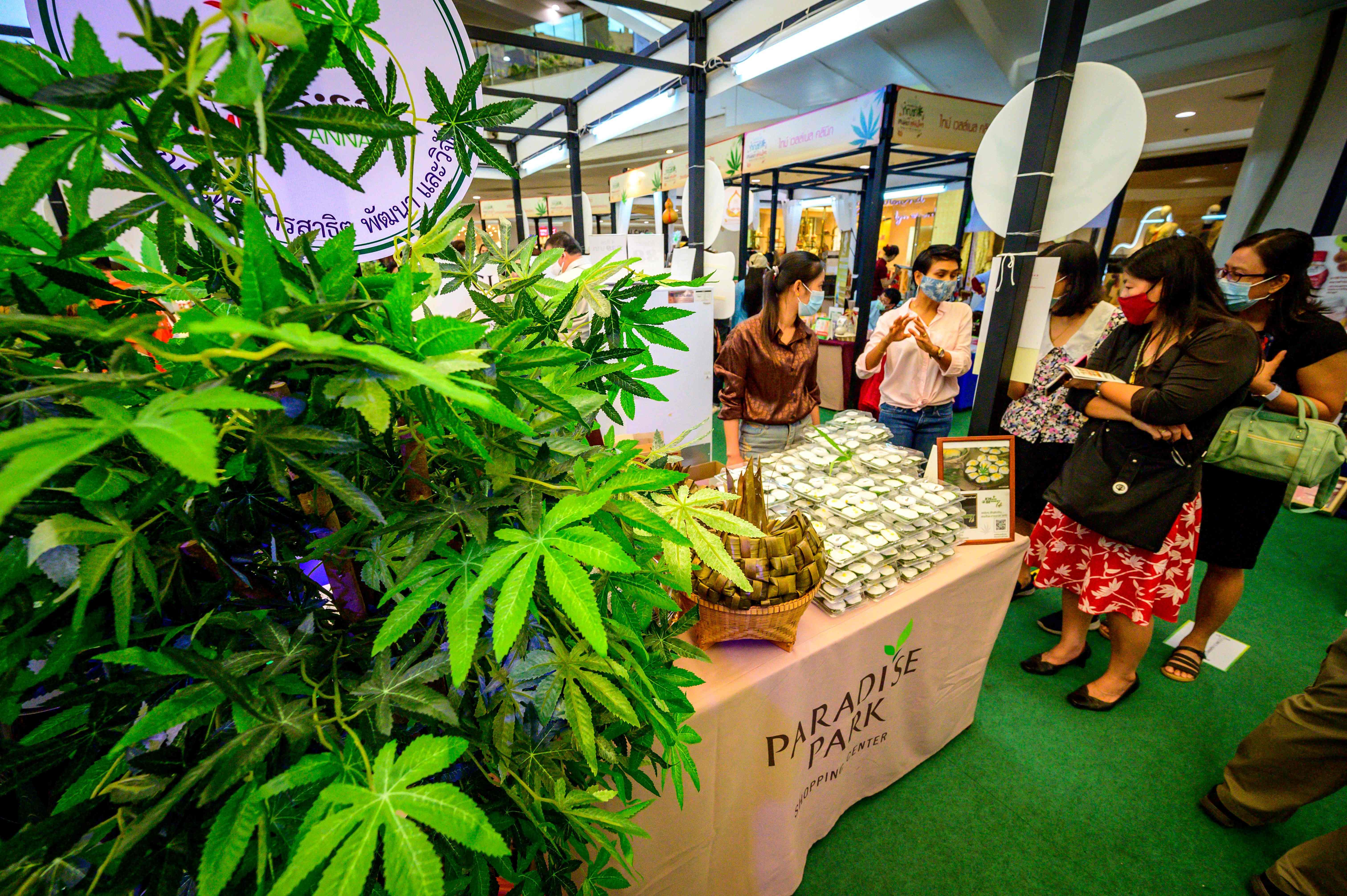 Pameran Ganja di Bangkok