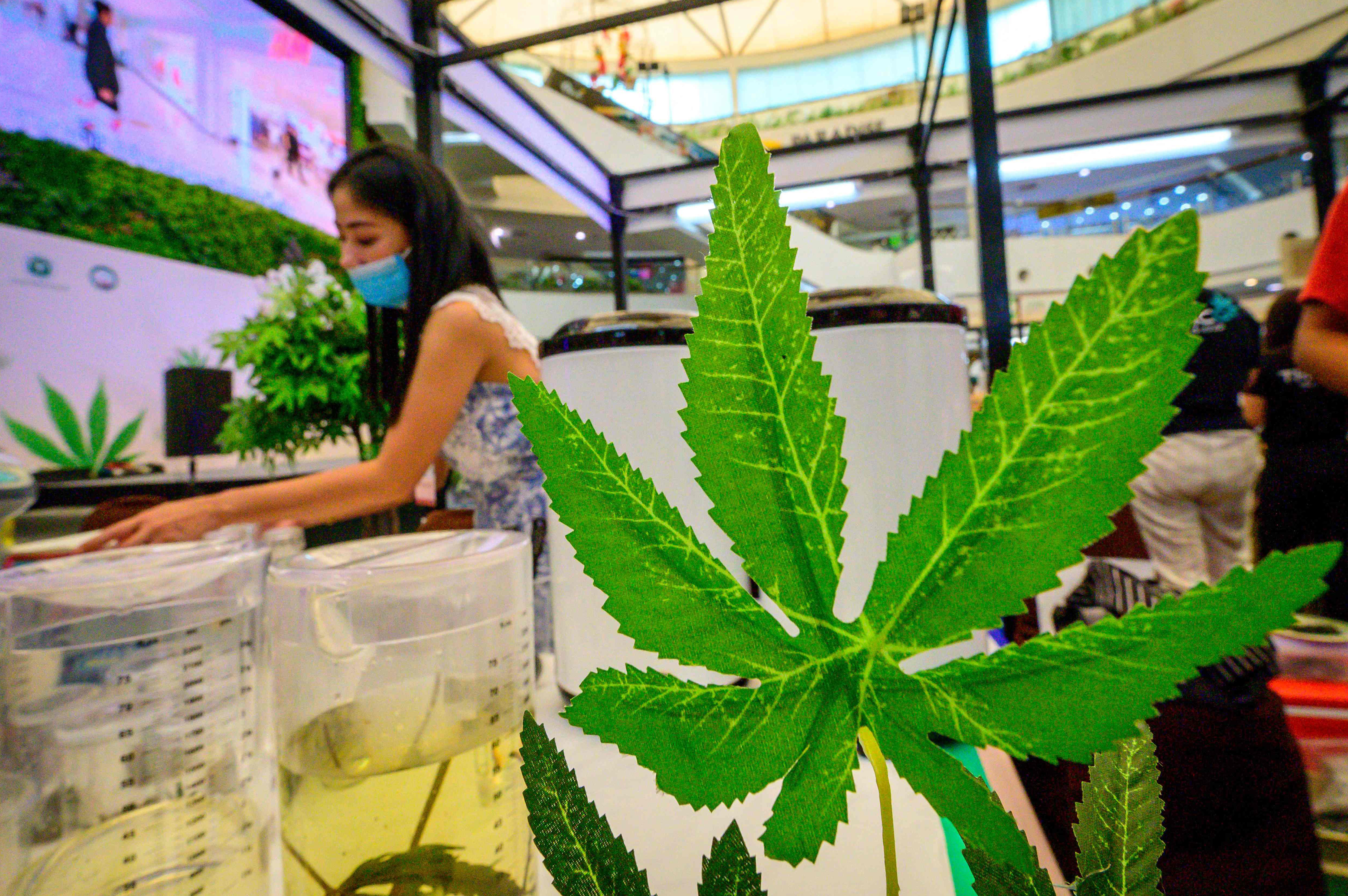 Pameran Ganja di Bangkok