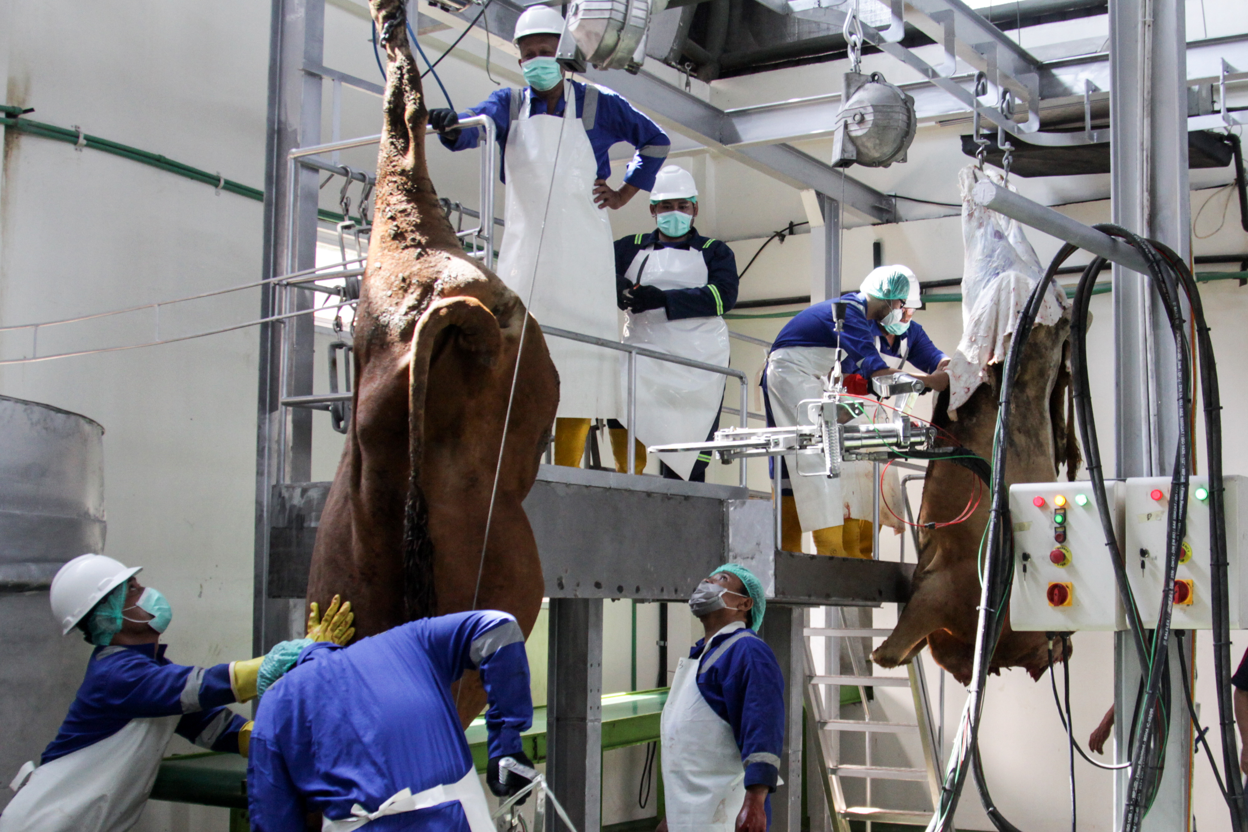 Pemotongan Hewan Berteknologi Modern