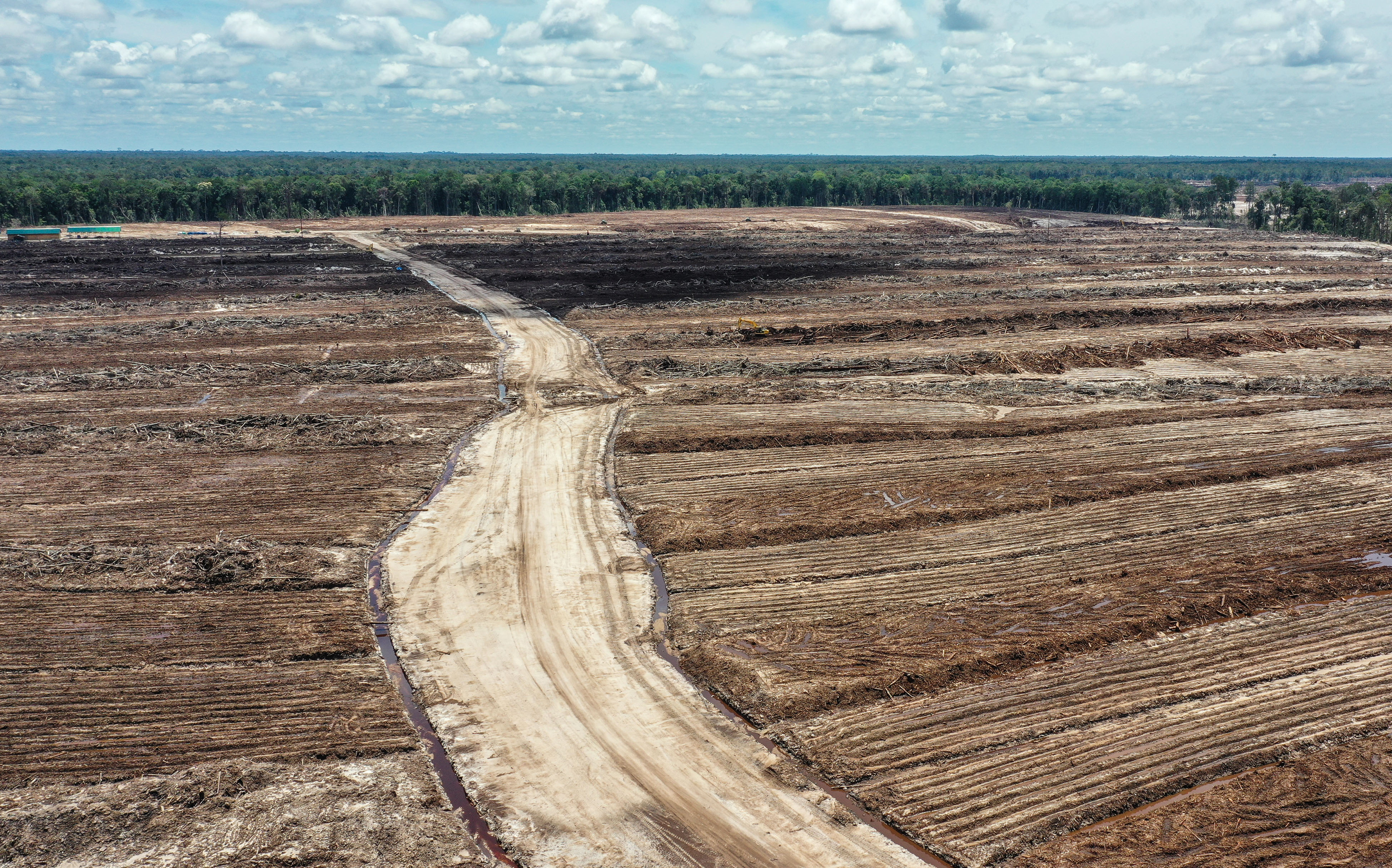 Areal Lumbung Pangan Nasional 