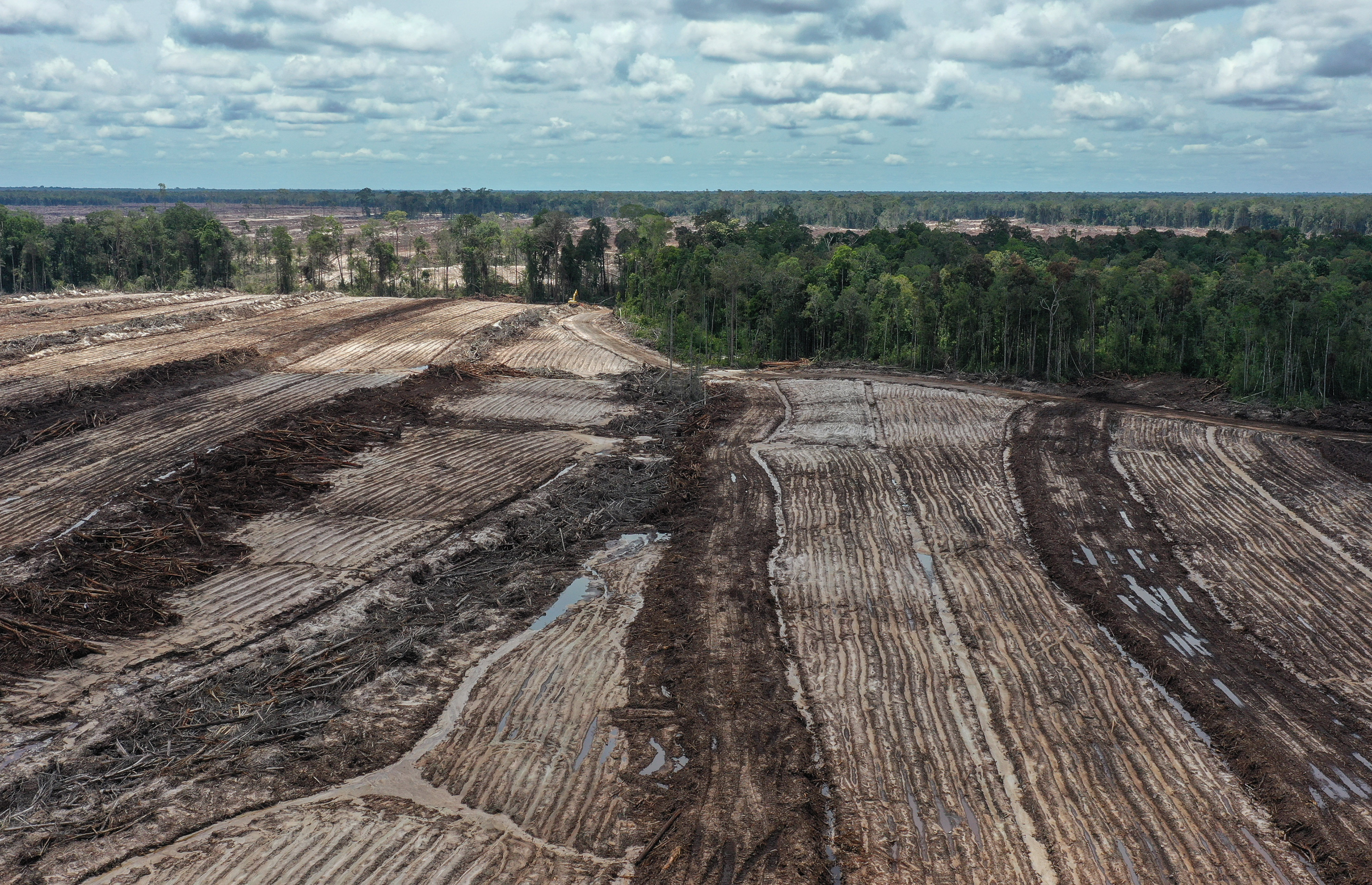 Areal Lumbung Pangan Nasional 